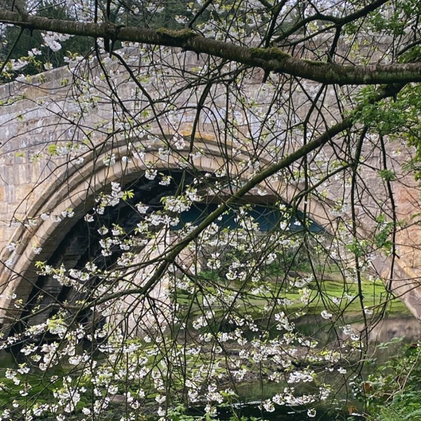 Beautiful Warkworth 🫶🏼