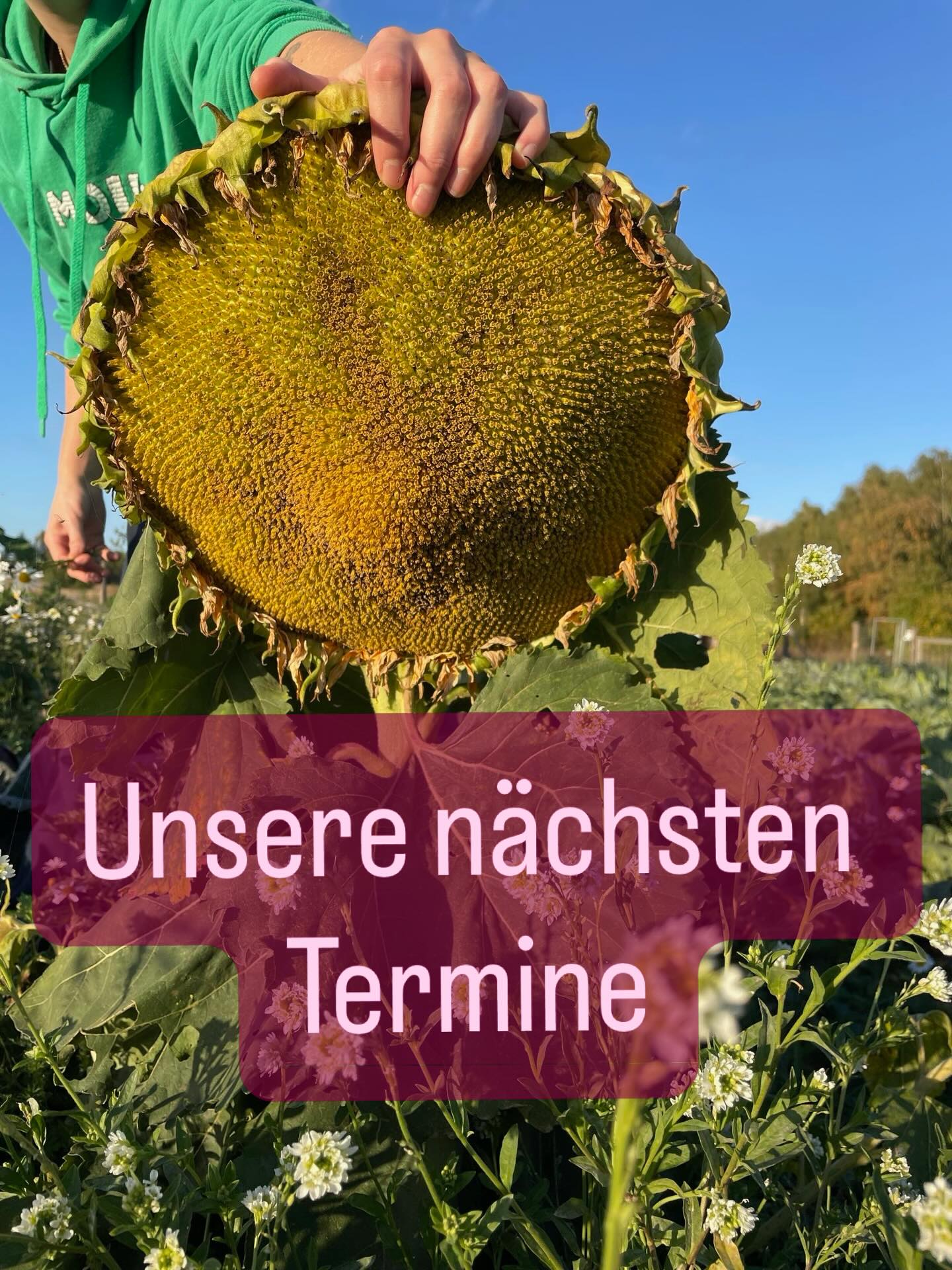 13.6.26: „Sommer-Sinnesreisen“ für Kinder (ein Angebot unseres Partnervereins Vielfalt für das Stolper Feld)
21.6.26 um 11 Uhr: Führung über unser Feld, Treffpunkt am Eingang in der Nähe der Invalidensiedlung, keine Anmeldung nötig
5.7.26: „Sommer-Bild“ für Kinder (ein Angebot unseres Partnervereins Vielfalt für das Stolper Feld)
26.7.26 um 11 Uhr: Führung über unser Feld, Treffpunkt am Eingang in der Nähe der Invalidensiedlung, keine Anmeldung nötig
22.8.26: Unser wunderbares Sommerfest, kommt zuhauf!
23.8.26 um 11 Uhr: Führung über unser Feld, Treffpunkt am Eingang in der Nähe der Invalidensiedlung, keine Anmeldung nötig
13.9.26 um 11 Uhr: Führung über unser Feld, Treffpunkt am Eingang in der Nähe der Invalidensiedlung, keine Anmeldung nötig