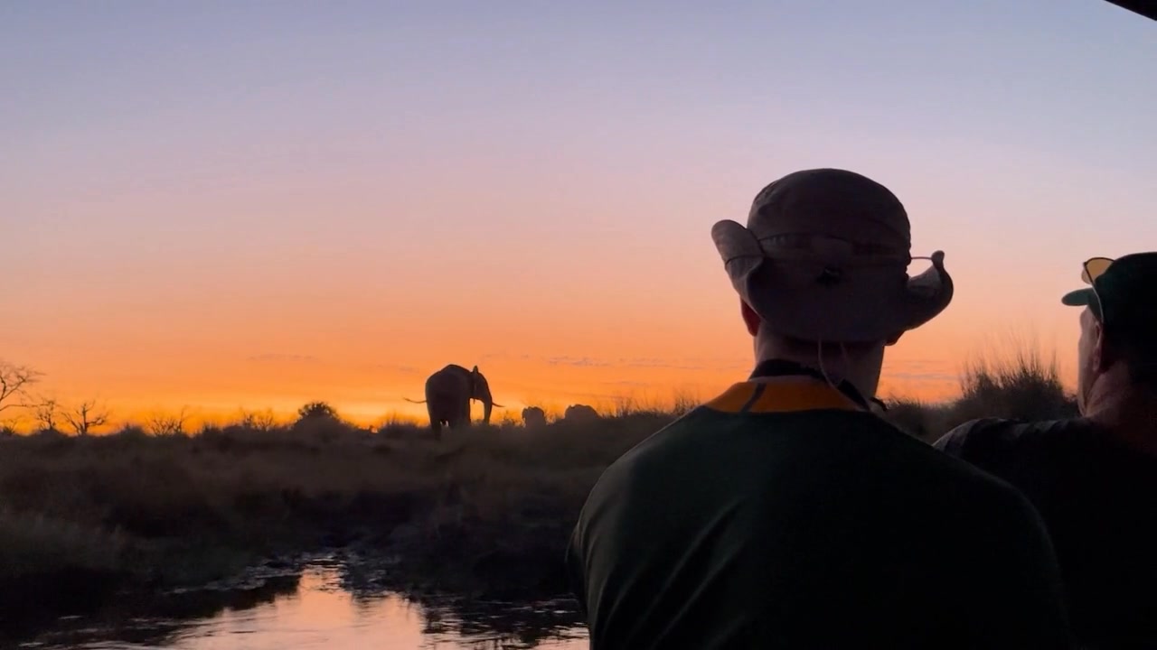 Africa is calling.
Live your dream. Fly the wild.
Get in touch to discuss your next holiday in Africa – book an Air Safari with us📞💬+27 (0)83 760 1330
#AfricaSkyRunners #FlyingSafaris #Africa #Wildlife #Bush #Beach