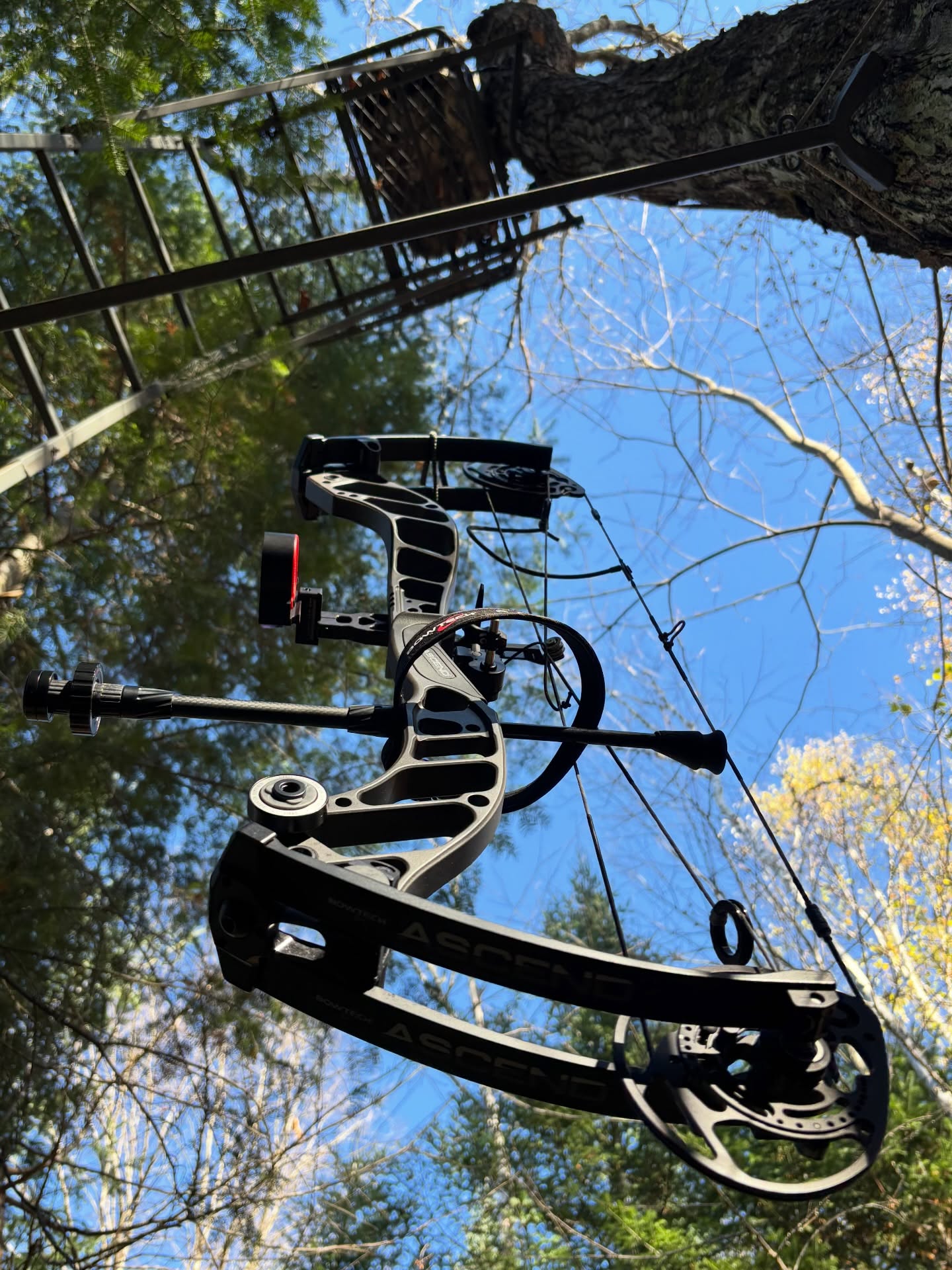 Just before settling in for the end of the day...
Altan Ladder Stand