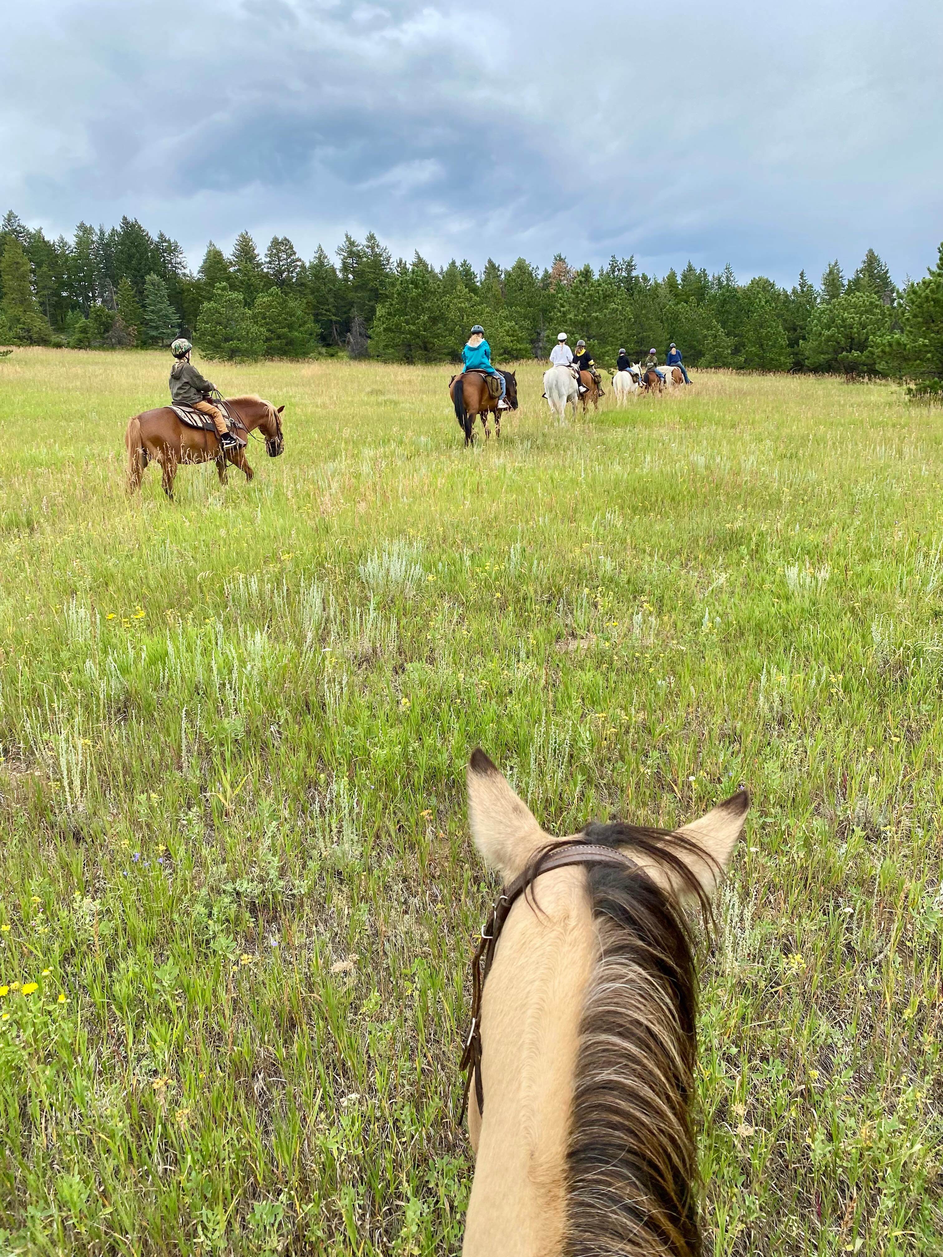 That snow was crazy, but we are always thankful for a good Spring storm! Anywho, one more month until days look like this at Camp here at CMR.
Who is ready to head up the mountain for long days with friends and of course, the HORSES!?