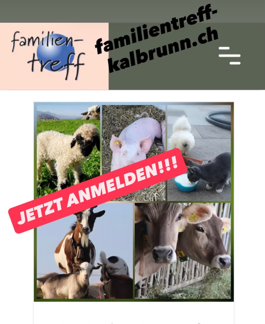 Wir besuchen die Kaltbrunner Familie Huber. Dort sehen wir, wie ihre Tiere wohnen, erfahren etwas über sie, spielen auf dem Bauernhof und essen zusammen Zvieri.