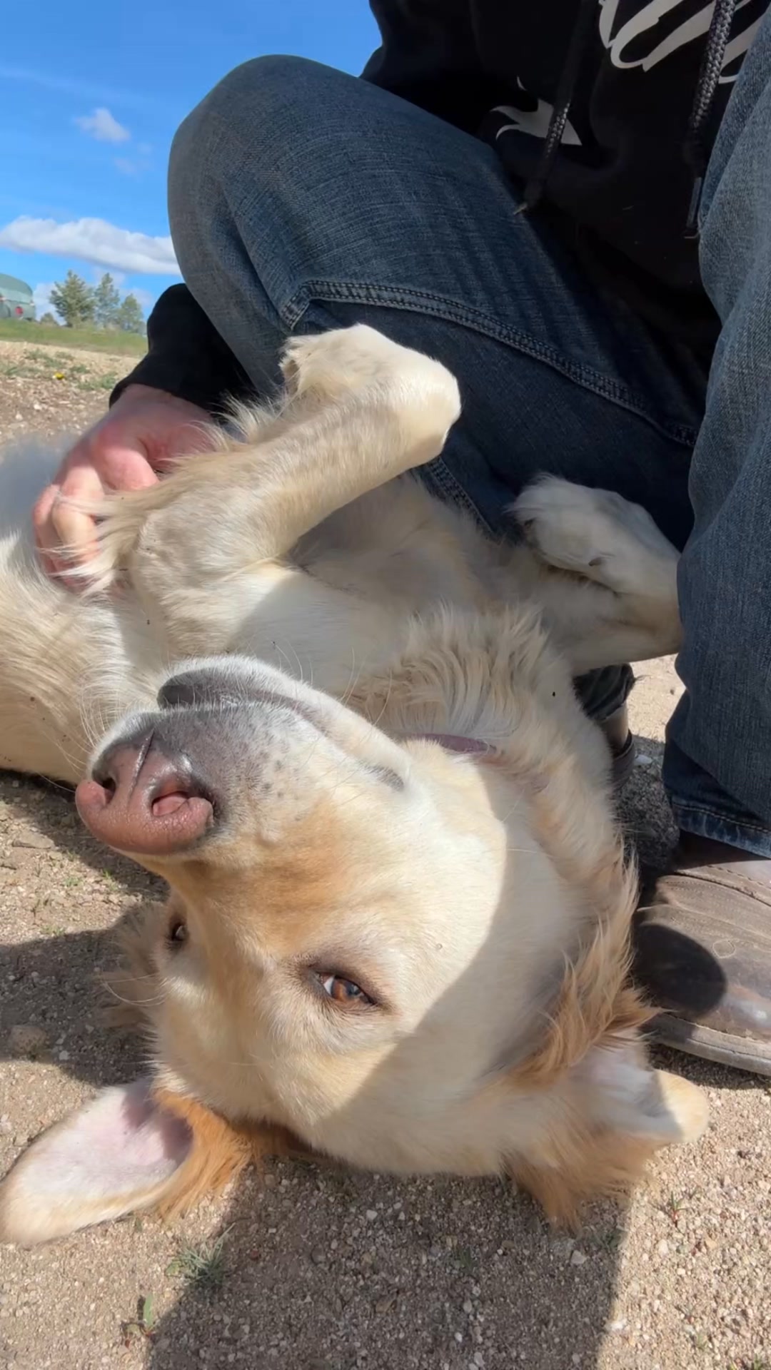 One of my favorite benefits of doing Yoga at iFG :) woof woof :)