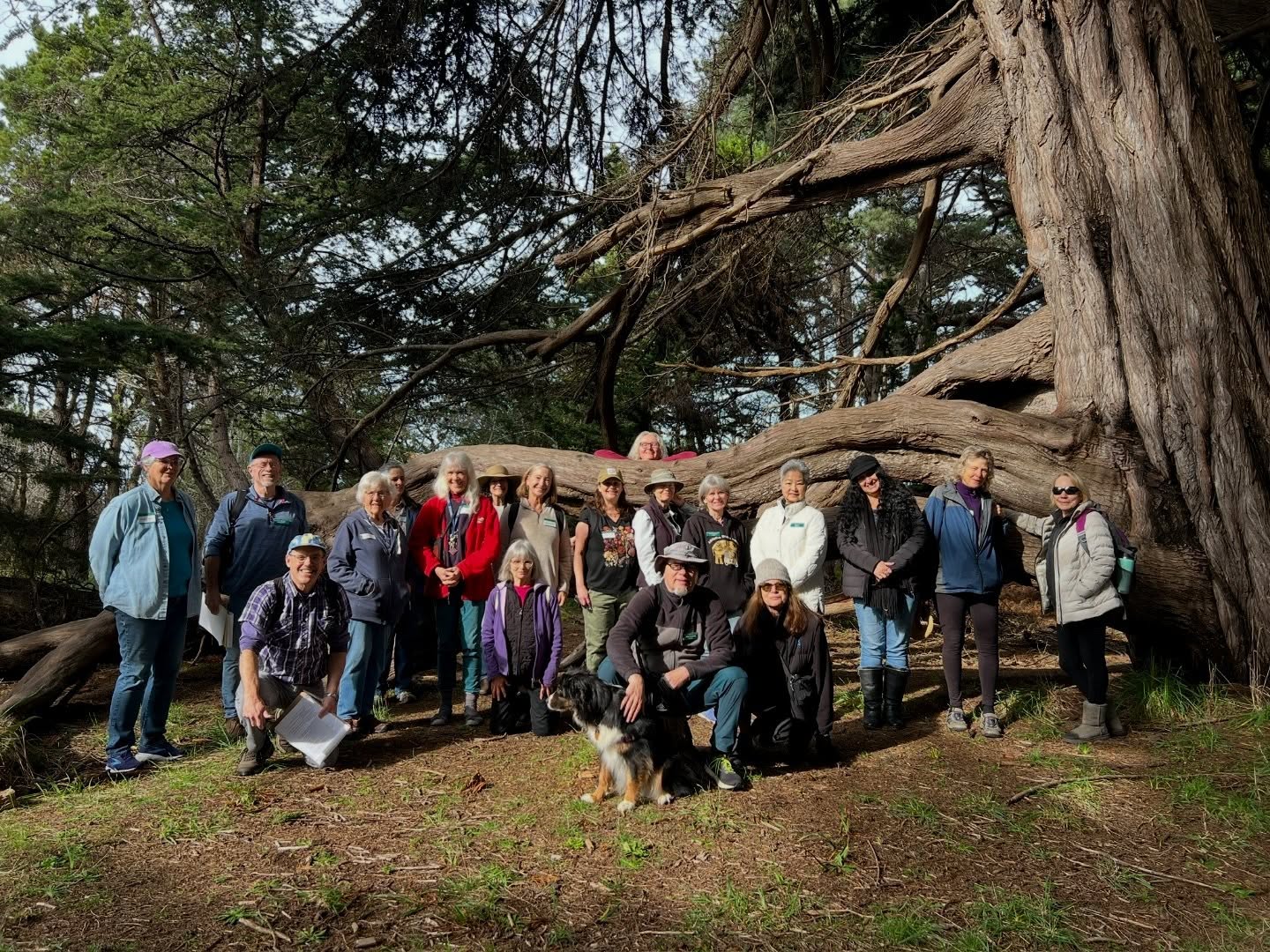 Happy Volunteer Appreciation Week! 🎉 We are so grateful at MCBG to have the support of so many wonderful volunteers who help bring magic to the Gardens. ✨
💪 Each year, our crew of 170+ volunteers dedicates thousands of hours to support our mission — honoring the diversity of local ecology, engaging people with plants and earthwork, providing thousands of pounds of fresh, organic, local produce to our local food bank, protecting habitats for creatures of the world, and giving children the opportunity to come and learn in nature. As a nonprofit organization, we could not do all that we do without their generous help and support!
Help us take a moment today to extend our deepest gratitude to our MCBG volunteer community. We appreciate all that they do! 💚🌿
#volunteerappreciationweek #thankyouvolunteers #volunteersrock