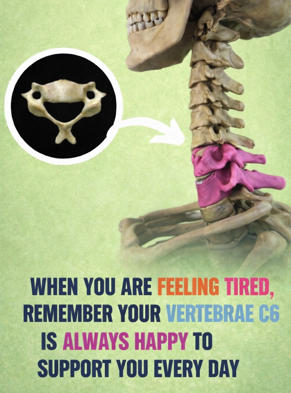 Your neck does more for you than you realize⦠every single day š
If youāve been dealing with tension, headaches, or that constant tight feeling, your spine might be asking for attention š”
Small shifts can make a big difference.
Call (330) 928-3420 to get checked
#cervicalspine #neckpainrelief #chiropracticcare #posturematters #headacherelief #c6 #spinehealth #wellnessjourney #naturalhealing #cuyahogafalls #ohiochiropractor #familychiropractic