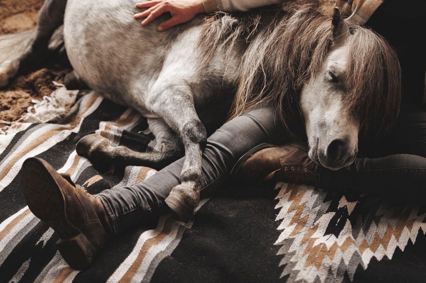 Ce soir, on se pose une question, comment décrire ce lien ?
Celui qu’on a avec la nature et les animaux . Celui qui nous fait nous transformer à leurs côtés. Celui qui nous fait tout oublier. Celui qui nous fait sourire rien qu’en y pensant.
Ce n’est pas juste une relation, c’est quelque chose de plus instinctif, silencieux. Un regard, une respiration, une sensation que peu de mots arrivent vraiment à traduire.
Chacun le vit différemment…
Alors on est curieux : comment vous décririez cette connexion ?
Et pour ceux qui l’attendent… le modèle Mazatlan revient bientôt.
TheWildWhispers WildSpirit Connexion HorseLife EspritSauvage
Merci pour ces photos @c.detrez_photo_video & @lou_debon 🤎