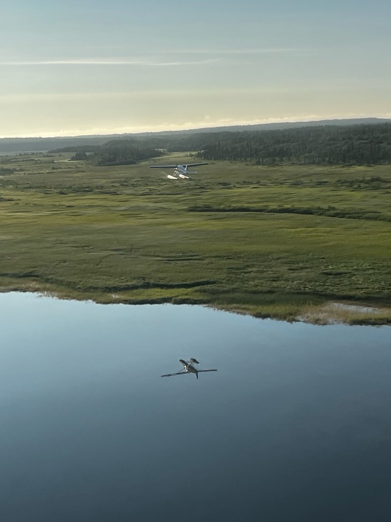 Out here in the corner of the Earth, nature still calls the shots. Beautiful water, wild fish, and endless horizon, this is what we protect. Today and every day, we fish with respect for the land that gives it all 🌎
#earthday #alaskarainbowlodge #fishinglodge
