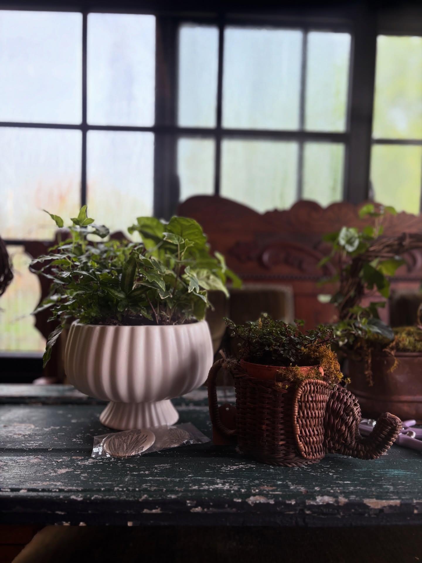 Need a thoughtful, handmade horticultural gift? Visit us. The Flower Truck is open and stocked with unique items for flower enthusiasts-
Mother's Day is just 3-weeks away!
Monday-Friday: 8:00am-6:00pm
Saturday: 9:00am-4:00pm
Sunday, 10:00am-3:00pm
(or by appointment/chance)
​​
Want to know if something in particular is available or have a special request
Text me: 443-813-0229, I am happy to help.
​
Payments Accepted
We accept Venmo: @April-Lutter ​
Cash and Credit Card (only if pre-paid/purchased via website)
​
Where is the Floriculture Flower Truck?
Text me, I'll share all the details! 443-813-0229
​
