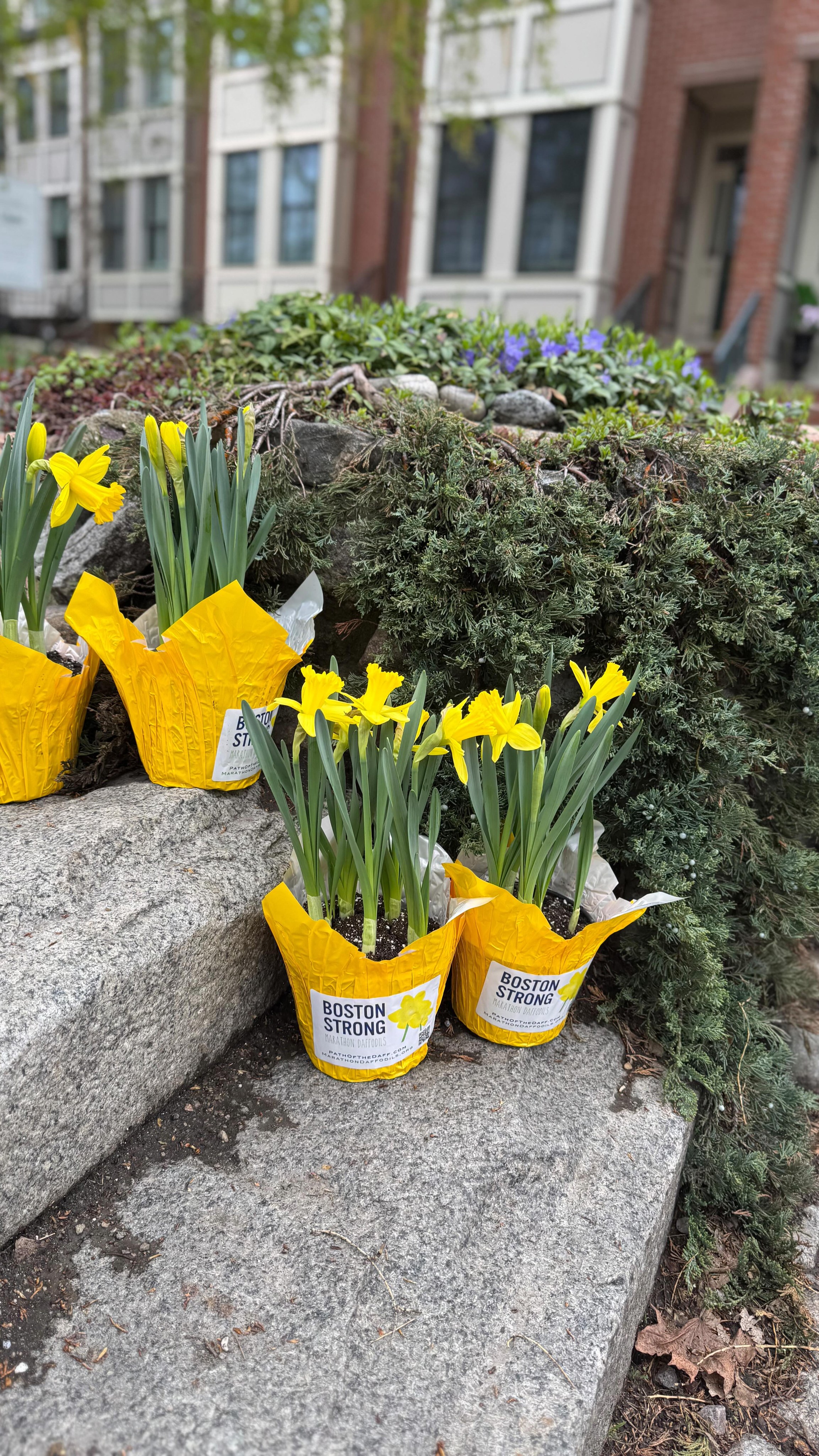 Spring is trying its best to spring. We can’t wait to see the garden come to life this season!