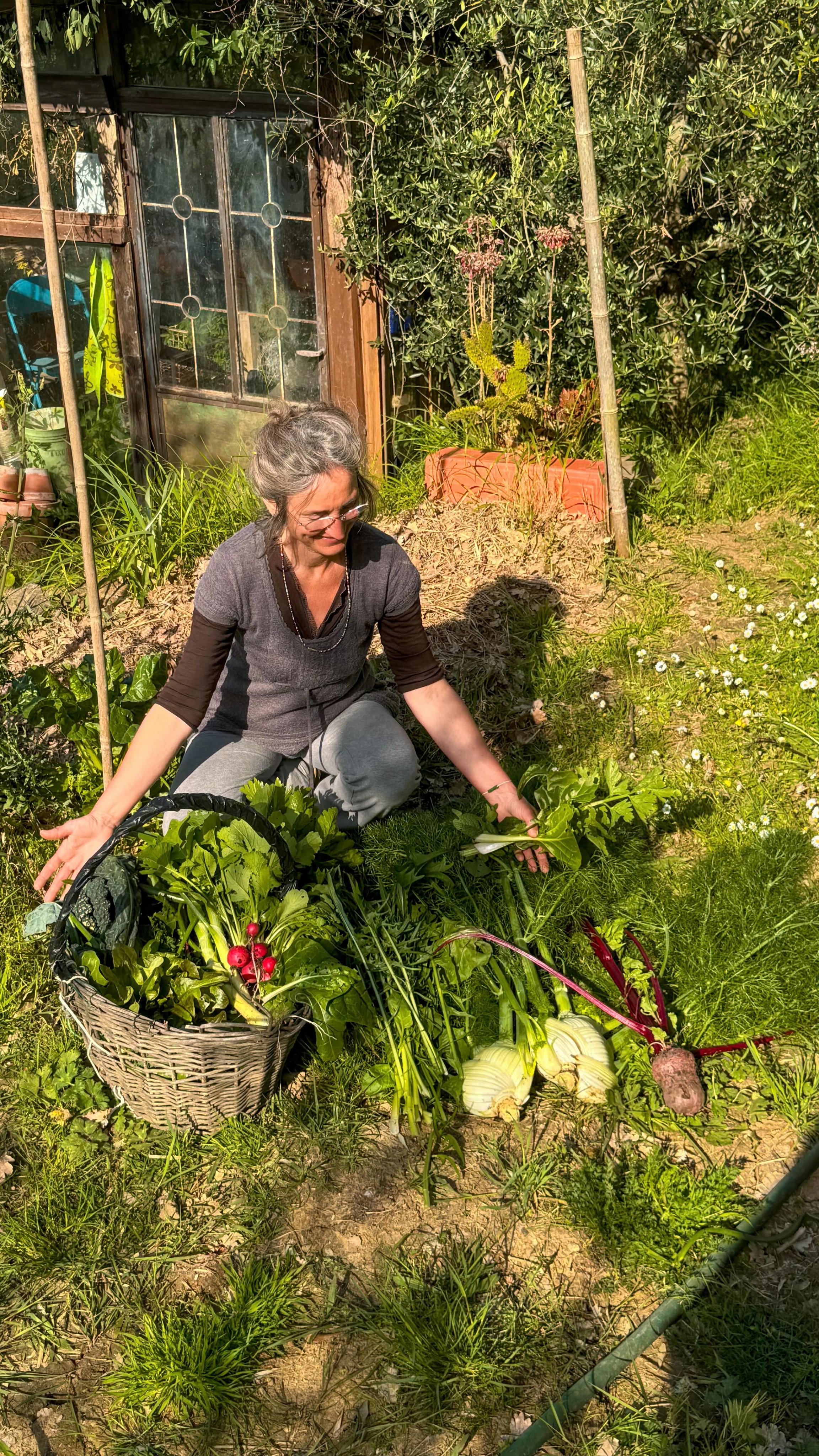 Cosa troviamo nell’orto di Aprile? 🌱
Cavoli di tutti i tipi, Finocchi, Barbabietola, Ravanelli, Rucola, Insalate di tutti i tipi, Spinaci, Bietole, Sedano, insomma tanti ortaggi a foglia, ma iniziano anche a essere pronti i primi ortaggi a radice o bulbo.
Inoltre se ci guardiamo in torno troviamo tante spontanee come: Malva, Borragine, Piantaggine, Tarassaco ecc…
Anche Aprile è un mese ricco ✨