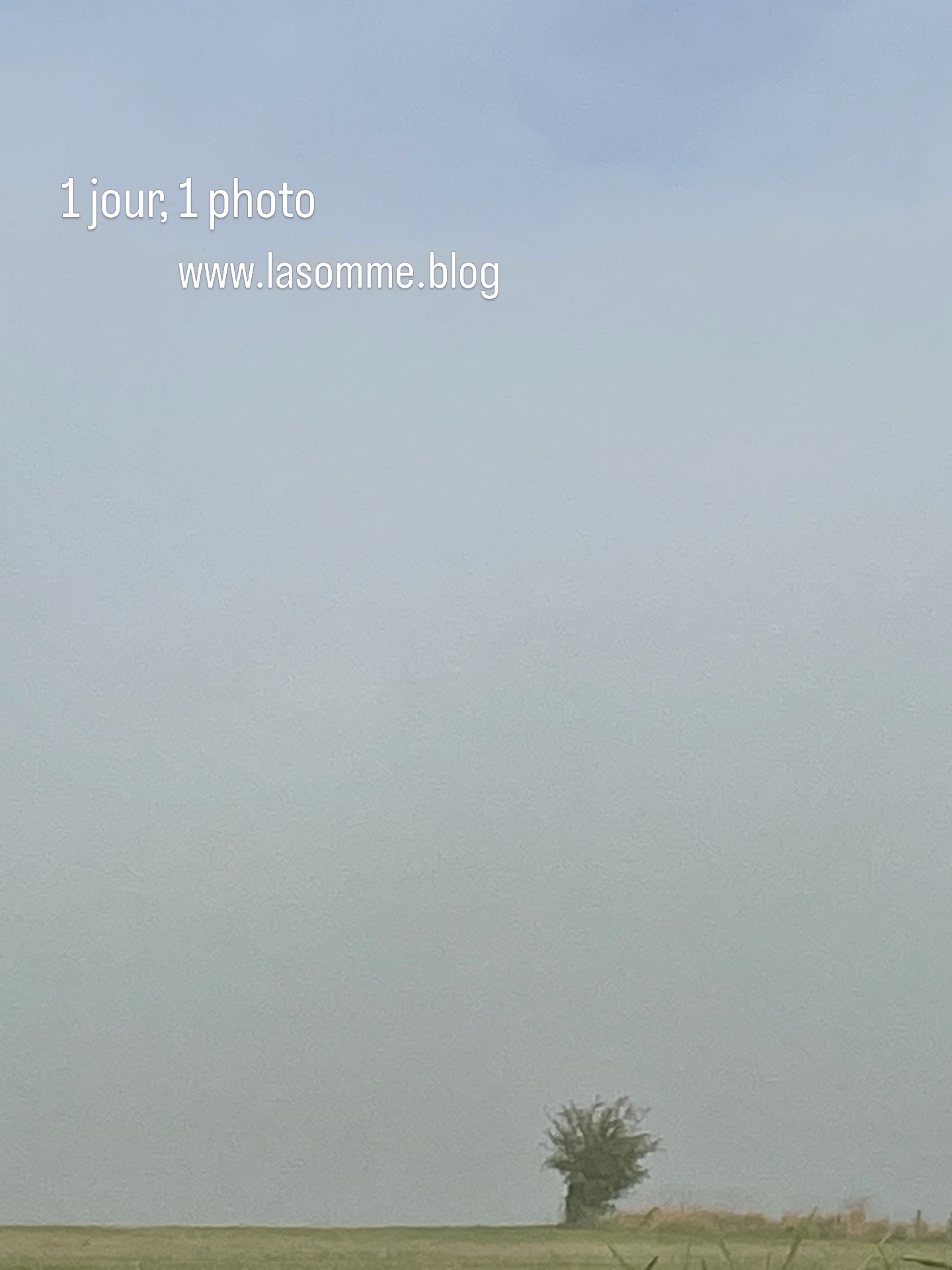 www.lasomme.blog - Brume - Nebel - Fog