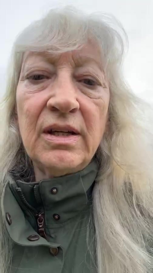 Summer Vegan Eco-Festival