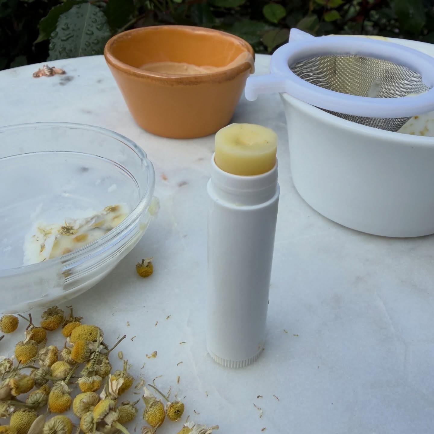 Here is a simple DIY lip balm you can make at home with only a few ingredients. Melt together one part beeswax with 2 parts coconut oil. I infused mine with dried chamomile because it is gentle and soothing to your lips and skin. Pour into a container and let cool then enjoy.
