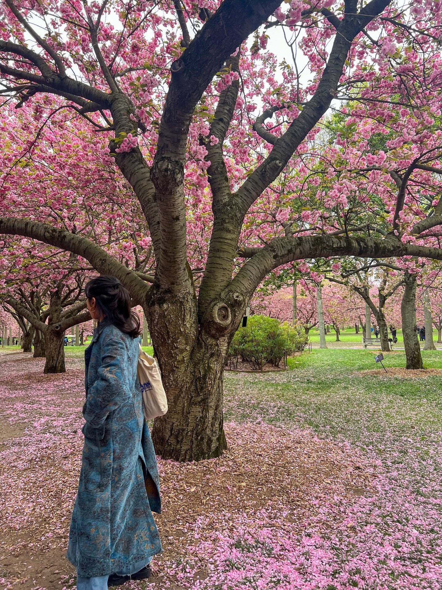 my first winter was cold, but I was very brave about it 🌸🫰🏻