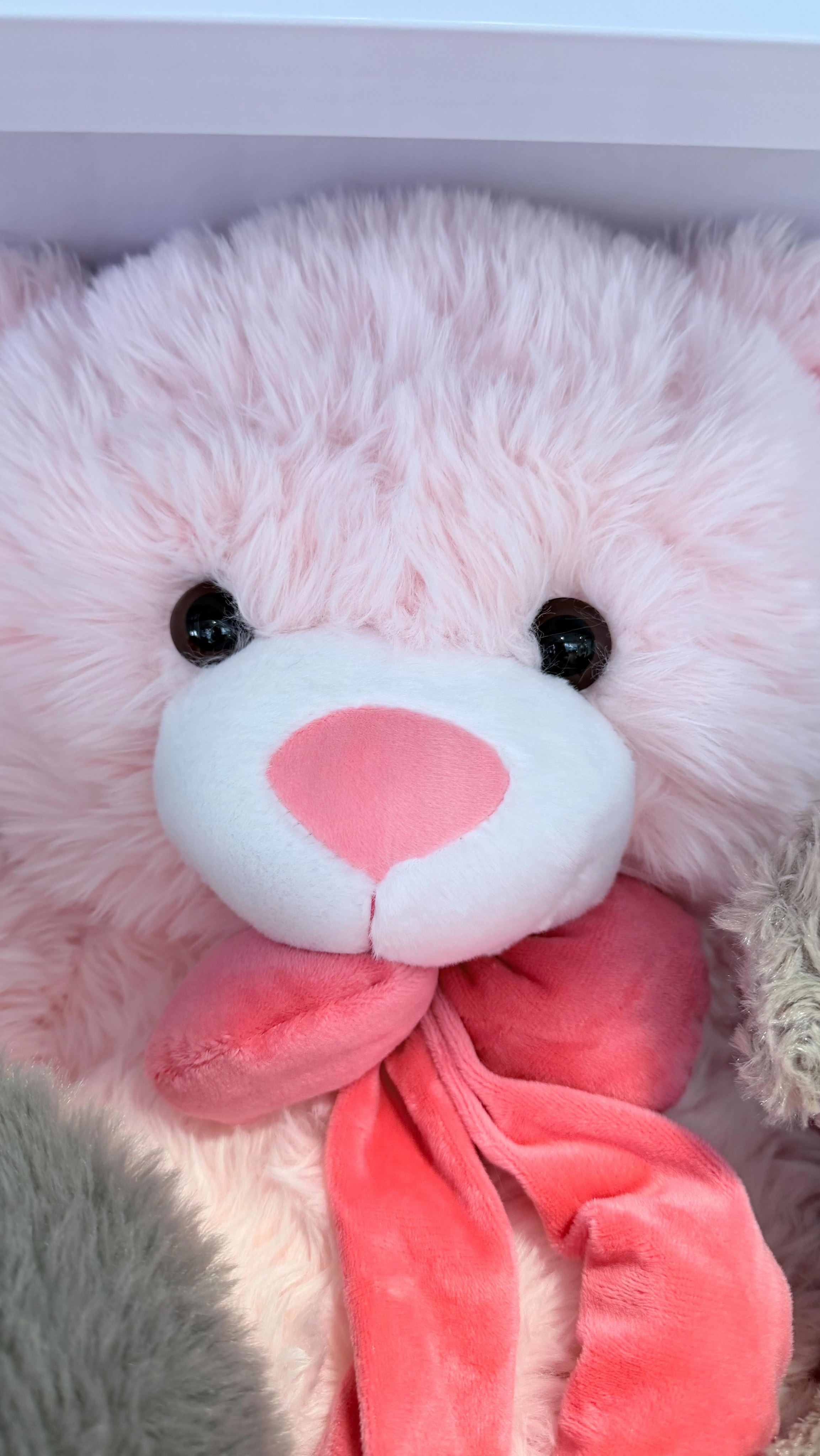 🎁 Ідеальне доповнення до букету
М’які іграшки на будь-який смак:
зайчики, котики, ведмедики 🧸
в різних розмірах, кольорах і стилях
Додавайте до свого замовлення, щоб зробити подарунок ще більш особливим 💛
🚗 Доставляємо прямо до дверей у зручний для вас час#monamiflowers #цветыторревьеха #florestorrevieja #доставкаквітів #flores