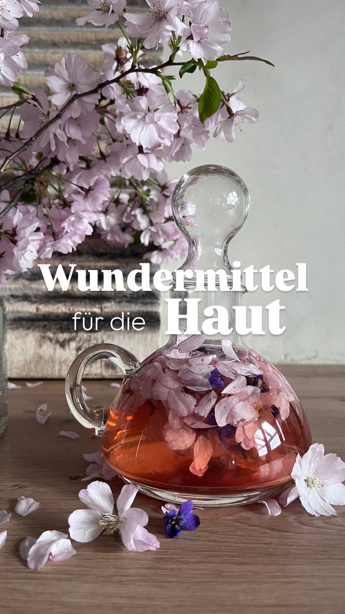 Wundermittel für die Haut!
Komplett natürlich 🤍🌸
Ich liebe dieses Face Tonic!! Du wirst begeistert sein 🤍 super einfach zu machen mit nur 2-3 Zutaten und so genial für deine Haut!
Kirschblüten haben beruhigende entzündungshemmende und regenerierende Eigenschaften. Sie enthalten außerdem Antioxidanzien, die super für den Zellschutz sind.
Apfelessig ist ein wahres Wundermittel und ein toller Allrounder. Er wirkt Antibakteriell, entzündungshemmend, klärt die Haut, erfrischt, fördert die Durchblutung und wirkt straffend.
Kann bei Hautunreinheiten gute Dienste leisten und zu einem besseren Hautbild verhelfen!
So gehts:
Du brauchst eine gute Hand voll Kirschblüten , ein Schraubglas und etwa 250 ml Naturtrüben Apfelessig in Bioqualität.
Die Kirschblüten (und wenn du magst auch Veilchenblüten) mit den Essig übergießen, verschließen, etwa zwei Wochen ausziehen lassen und täglich schütteln. Dann die Blüten abfiltern und in eine Flasche füllen. Das ist jetzt deine Grundbasis für das Tonic.
Für das Tonic nimmst du jetzt zwei Esslöffel von dem Kirschblütenessig und füllst 150 ml Wasser dazu. (den Essig immer unbedingt verdünnt auf die Haut auftragen)
Gut verdünnt, kannst du das Tonic morgens und abends verwenden. Einfach mit dam getränkten Wattepad das Gesicht nach der Reinigung klären.
Du wirst merken, wie sich dein Hautbild positiv verändert!
Apfelessig ist ein altbewährtes wunderbares Hausmittel, das sehr oft Einsatz findet, dieses Tonic hat mir sehr geholfen, meine Hautunreinheiten in den Griff zu bekommen!
Viel Spaß beim ausprobieren!
Hast du schon Erfahrung mit Apfel Essigtonic?
Alles Liebe, deine Meli mint
#haut #skincare #naturalbeauty #diy #Rezept