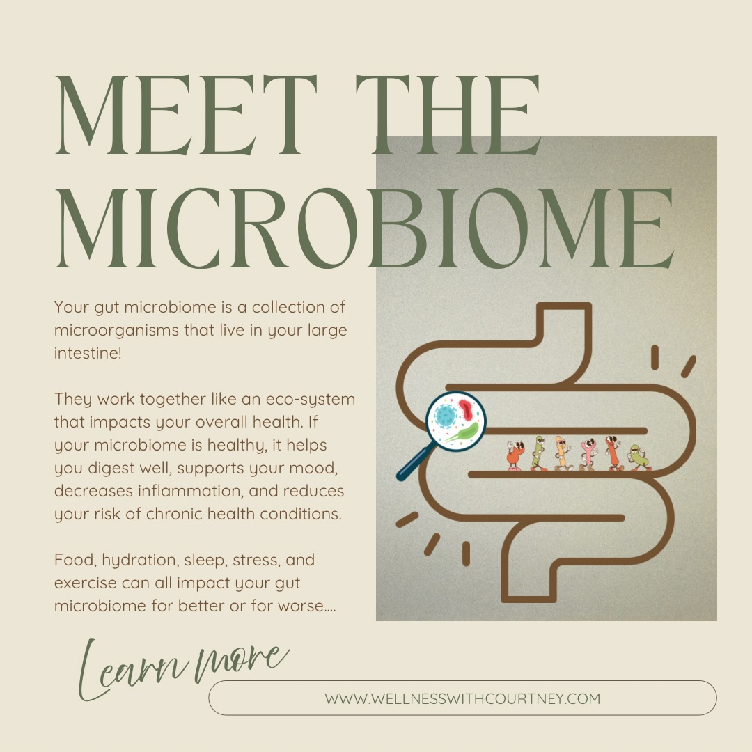 🦠Meet the Microbiome! This ecosystem of microorganisms (bacteria, fungi, and more!) lives in your large intestine and helps your body function well.
💫These little organisms communicate with your brain, immune system, digestive system (and more) to help your body feel and function well. A supported microbiome reduces stress and improves mood, decreases inflammation (and therefore reduces your risk for heart disease, diabetes, and colon cancer!), and supports optimal digestion!
🌱Do you want to learn a few ways to support your microbiome? #guthealth #nutrition #dietitian #wellness #goodmoodfood