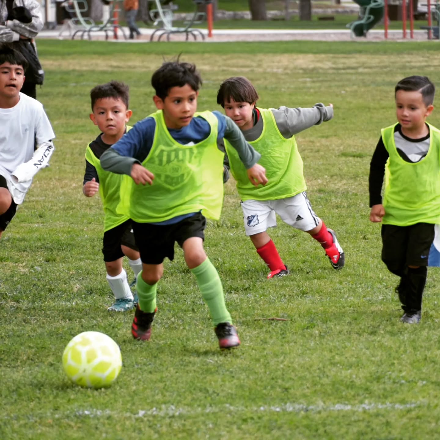 Our little Gladiators on the pitch today, giving their all in their first scrimmage game.