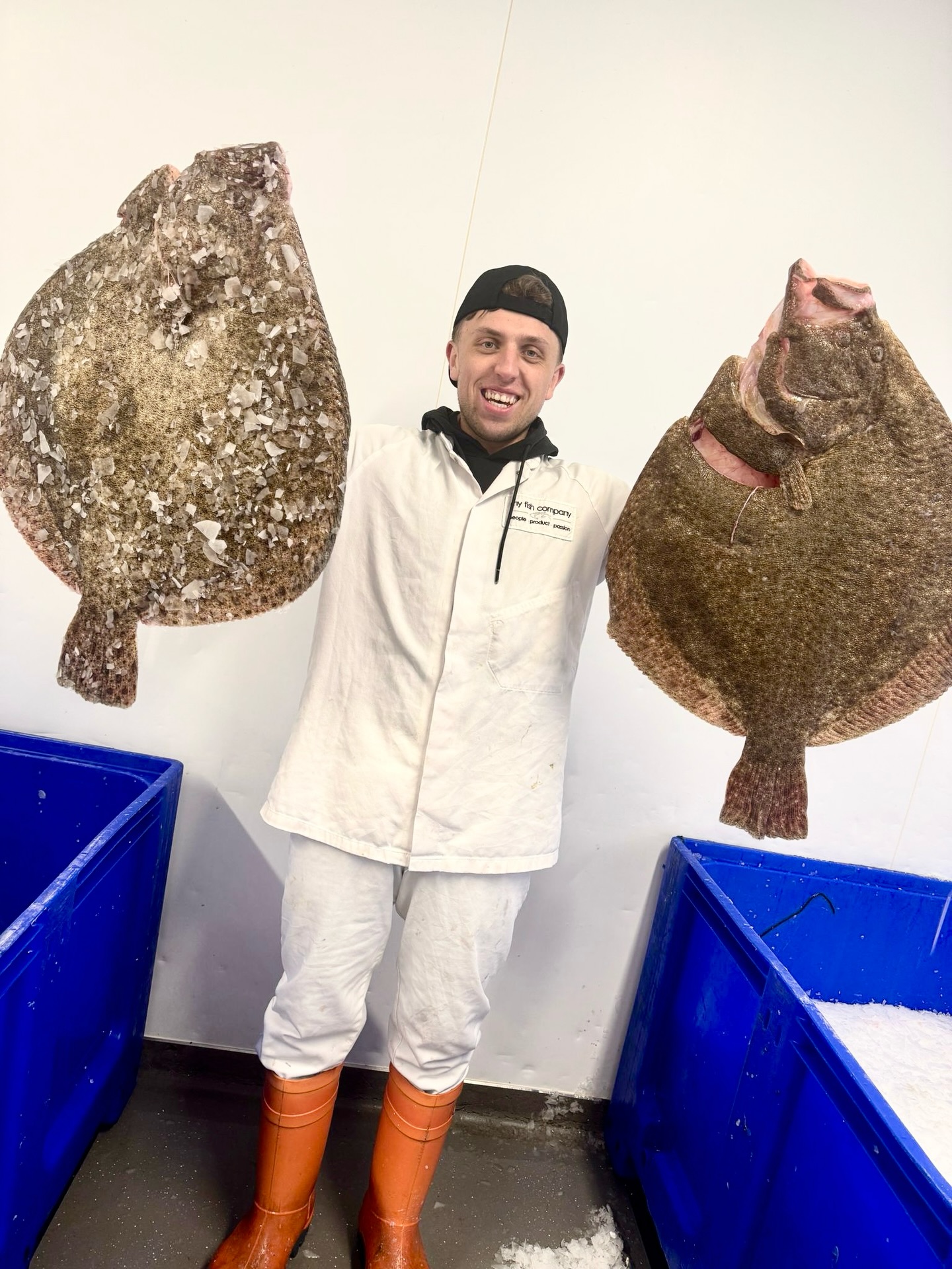 The King of the Sea has arrived at My Fish Company. 👑
We take pride in sourcing the finest wild fish, and today is no exception.
Tommy is showing off two of the finest turbot we’ve seen in a long time. Firm, fresh, and full of flavour.
They won’t be around for long, the team are talking to chefs right now to get this on a menu quickly.
If you want a piece of the Turbot action,
☎️ 01253 779813.
#turbot #fishmonger #chefsofthenorth