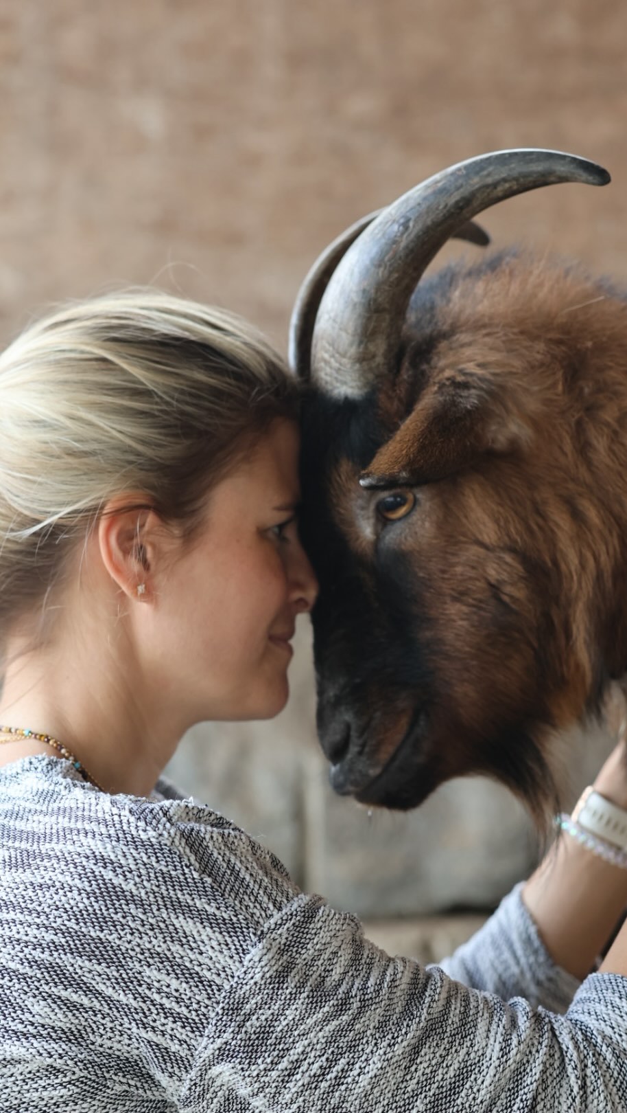 Freunde ♥️
#tierfreundschaft #lebenshof #tierliebe #ziege #freundschaft