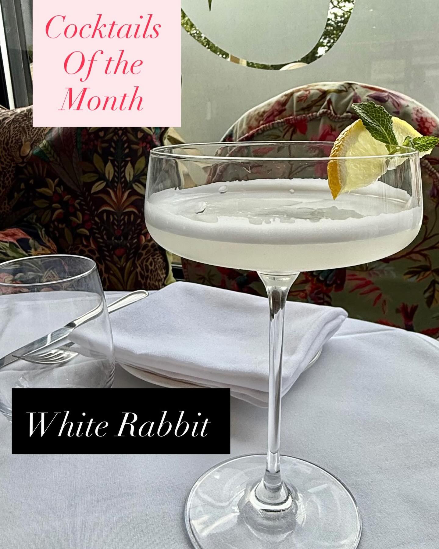 At Lizzie’s Cucina, the bar creates elegant, artful sips to match their authentic Sicilian flavors. This month’s star is the White Rabbit, a whimsical and sophisticated blend featuring floral notes and a smooth finish—perfect for sipping in their stylish Oakwood garden.
#lizziescucina #whiterabbitcocktail #londoncocktails #oakwooddrinks #italianstyle