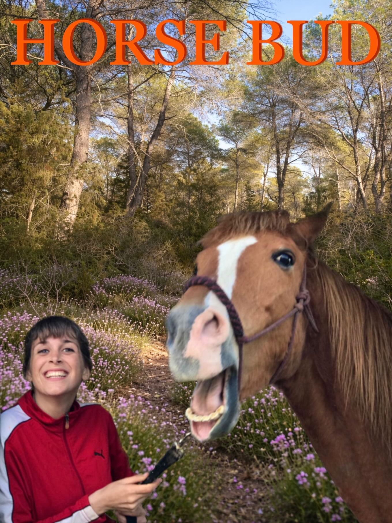 Welcome to Horse Bud!
I’m Jazmin, with my horse son Apache.
I’ve had him since he was born, 24 years ago.
We happy, shiny beings living in Ibiza.
I speak Spanish 🇪🇸, English 🇺🇸 and French 🇫🇷.
My horses speak food and love. 🥕🫶😋
Here, we celebrate the magic, sensitivity, wisdom, and beauty of horses.
✨Follow along for heartwarming stories, gentle horsemanship tips to deepen your connection with horses, the artisans who keep tradition alive, and a bit of humor here and there.
💬 DM me if you’d like to share your story — I’m gathering them for a book celebrating horse-human bonds. 💫
#horsebud #horsemanship #horselovers #soulfulliving #animalwisdom