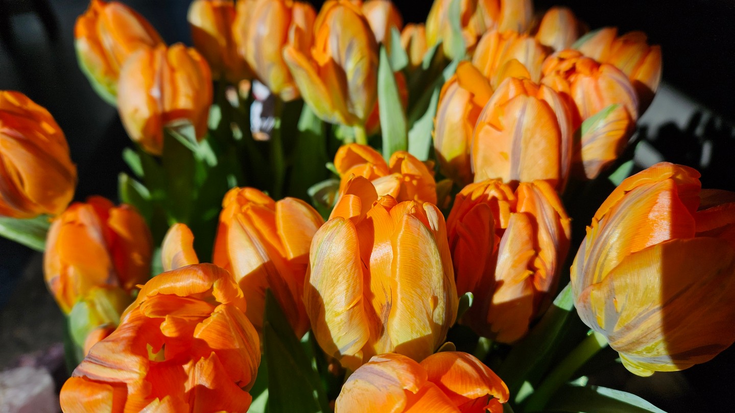 A royal treat for you. This weekend and Kingsday, April 27, we are offering 15% discount on all items in our webshop. So celebrate Kingsday with an extra bit of sparkle. Find your favourite with 15% off.
#kingsday #kingsdayoffer #kingsdaydiscount #jewellerylover #gemstonejewellery
#handmadejewellery #dutchdesign #springjewellery #wildstonesamsterdam #treatyourself