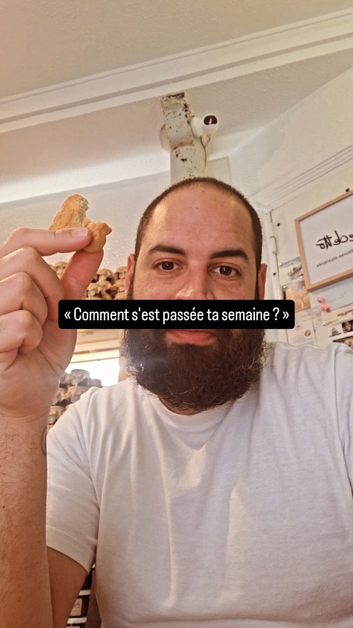 Bienvenue dans la folie de l’atelier ! 🎨✨
Une semaine résumée en quelques secondes… Entre rires, projets créatifs et clientes au top, on n’a pas arrêté ! Comme dit Soprano, c’est complètement « dingue » par ici, et c’est exactement comme ça qu’on aime travailler. 🤪
Et vous, quel a été votre moment le plus fou de la semaine ? Dites-le moi en commentaire ! 👇
#AtelierVibes #Dingue #benedettoconfituresatypiques #Dimanche #WorkHardPlayHard