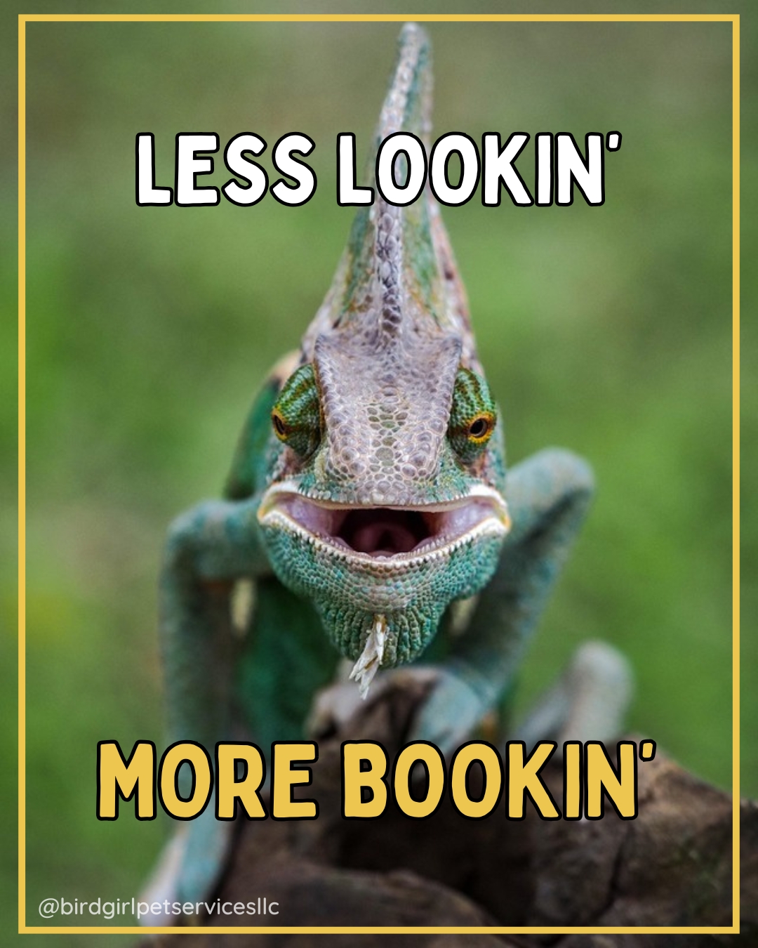 Some summer weeks are already fully booked for birds. If you are planning to travel, now is the time to reach out.
Whether it is a long weekend, a family vacation, or graduation travel, your exotic pet's care should not be a last-minute decision. Their environment, routine, and diet all need to stay consistent while you are away.
We are currently booking summer boarding and in-home visits for birds, reptiles, rabbits, and small mammals on Long Island.
Visit birdgirlpetservices.com/servicerequest to start the conversation. (Link in bio)
#BirdGirlPetServices #ExoticPetCare #SummerBoarding #PetBoarding #LongIslandPets