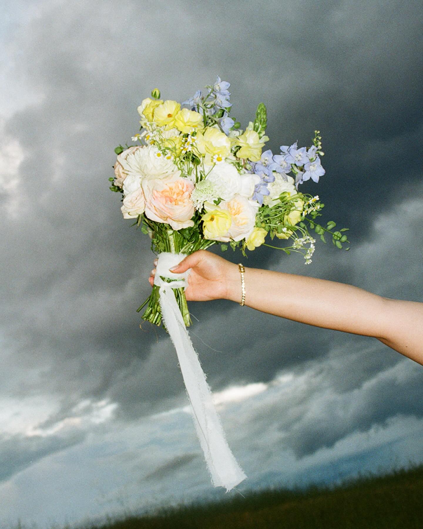 S+Z on film 💍🤩🎉
It was rainy, cozy, and filled with magic. The sky came out to play and what a glorious wedding day it truly made out to be.
Thank you for trusting me to tell your story @sami_low1299
Venue: @blackoakmountainvineyards
