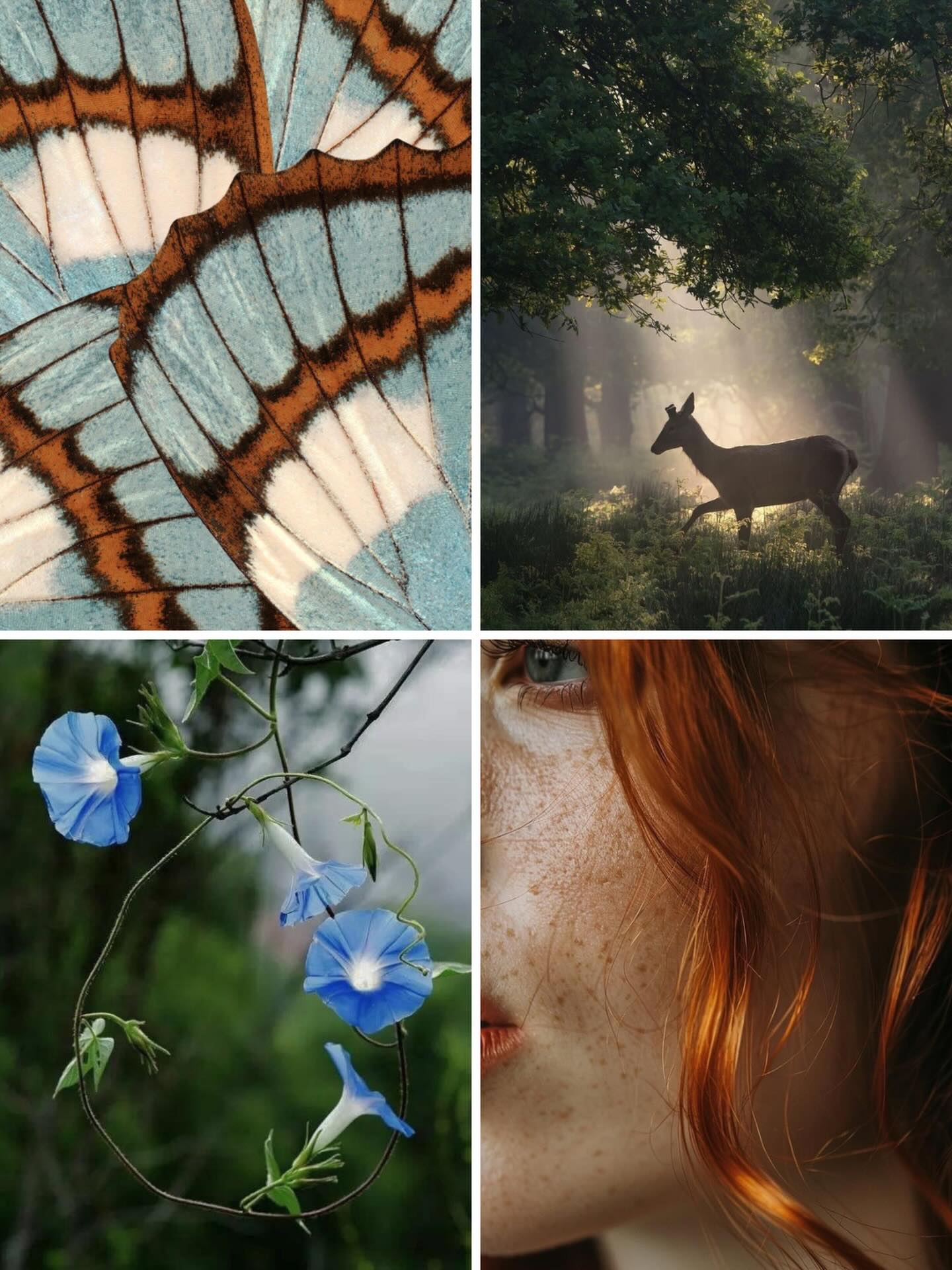 Popping some Eryndor vibes into your feed tonight 🍃
Which photo draws your eye first?