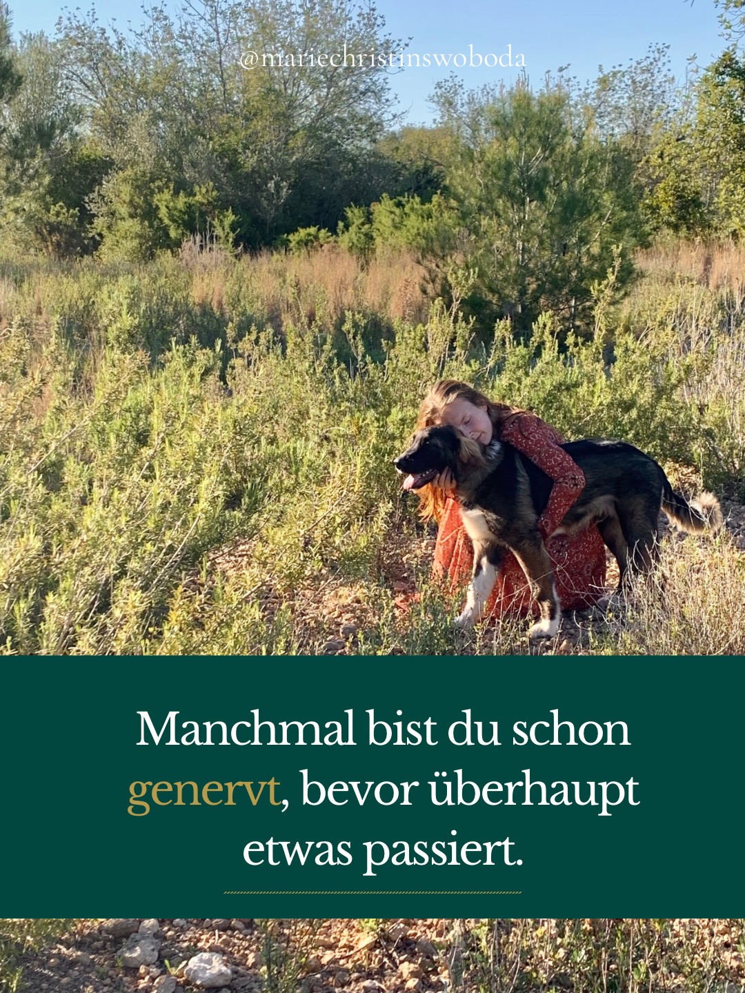 Nicht jeder schwierige Moment beginnt erst mit dem Verhalten deines Hundes.
Manchmal merkst du schon vorher, wie wenig innere Kapazität gerade da ist.
Und genau dann fühlt sich Kleines plötzlich groß an.
Kommentiere CHECK, wenn du das kennst und einordnen möchtest was eigentlich gerade ab geht. Ich schicke dir meinen Self-Check-in, den du wie die Selbsttest in der Bravo früher ausfüllen kannst und eine erste Einschätzung zu eurer Situation bekommst 🫂
#hundmenschbeziehung #lebenmithund #traumasensiblescoaching #beziehungstatthundetraining #nervensystem
Hundebeziehung
Überforderung mit Hund
Hundebegegnungen Stress
Beziehung statt Training
Nervensystem Hund Mensch