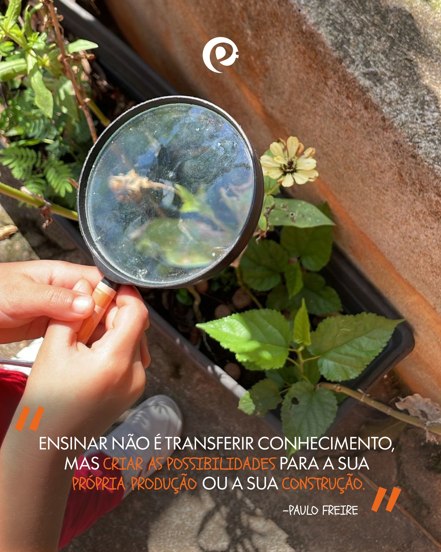 Aqui, na Eloin Educação, priorizamos a aprendizagem ativa, onde o estudante participa diretamente do seu processo de aprendizagem.
Cada saída pedagógica é uma porta que se abre para milhares de possibilidades. O estudante se torna mais curioso, mais atento aos detalhes e tem a oportunidade de expandir seu repertório cultural.
Quer participar dessa transformação?
Fala com a gente, estamos te esperando!❤️
