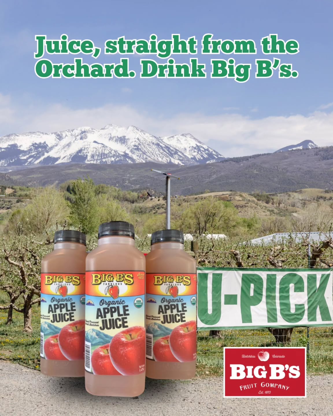 Why Big B's Juice is different:
Cider Mill Crafted, Small Batch Pressed juices using whole organic fruit.
As family owned fruit growers, we support sustainable agriculture, land stewardship, and community empowerment.
NO preservatives & BPA FREE bottles!
Go grab a bottle today! 🧃🍏♥️