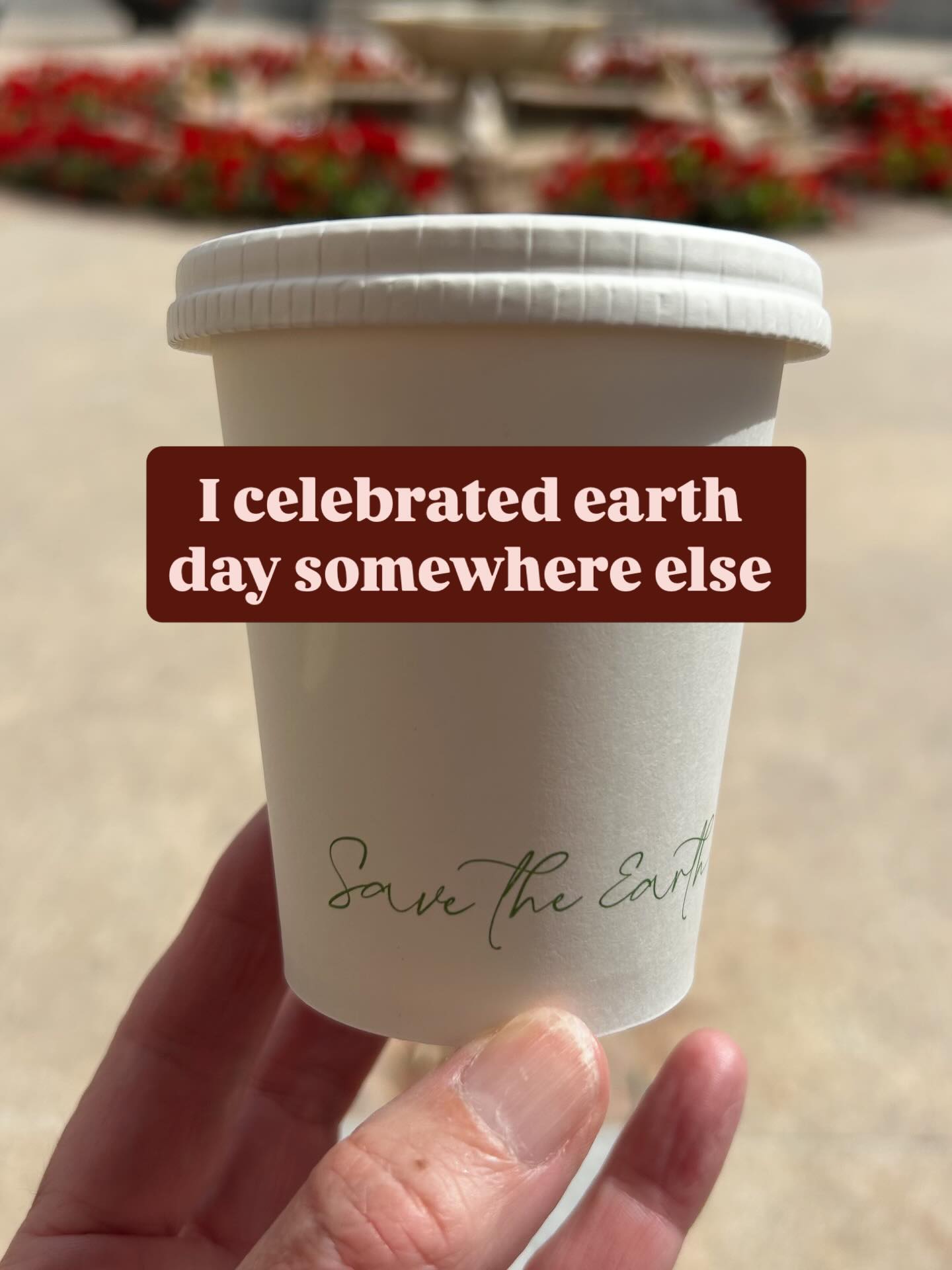 Last week I celebrated earth day from another part of the world. Can you guess where I was? Here’s a clue, it’s the home of Padel and yes we played!
I loved the way the olive trees were clipped into clouds and used as screening.
There were fields of celery grown nearby, look carefully and you’ll see all celery has been topped. This is usual practise in farming, the top stems & leaves are bitter so they are used as animal feed and the remaining plants are then harvested and that’s what we see in the shops. We were in Spain if you didn’t swipe across, thanks @lmcracquetsclub we had lots of fun.
@nnickp @livvieparker @arabella_parker @toby_bunn @tomjsvcarr @the_candle_sanctuary #garden #grow #spain #celery #padel