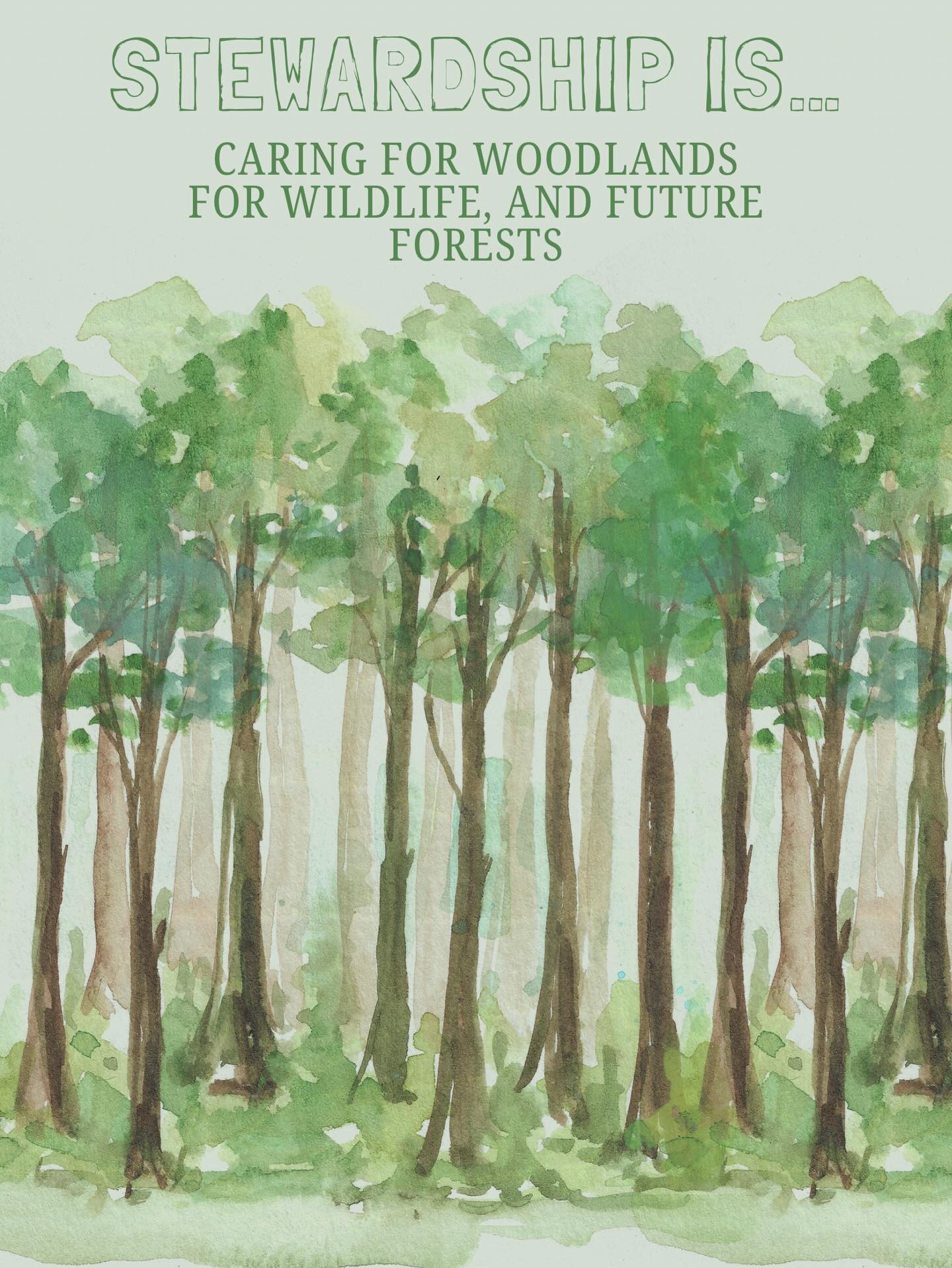 East Haddam’s forests are constantly changing—and stewardship helps guide that change. By managing woodlands thoughtfully, we support native trees like oak and maple, improve habitat for wildlife, and strengthen the health of our forests over time.
Healthy forests mean cleaner water, more biodiversity, and more resilient landscapes.