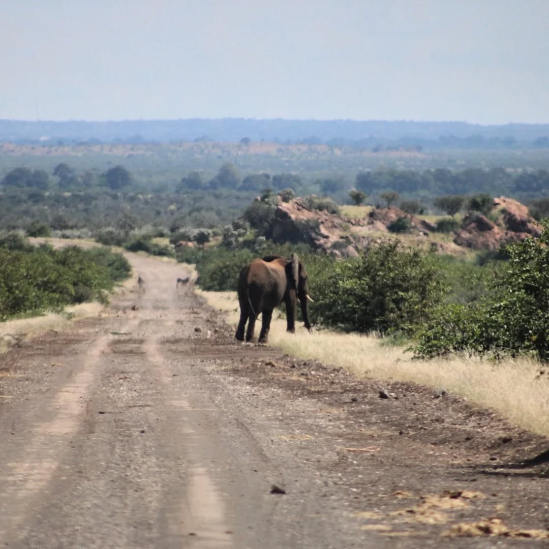 Mozambique Outreach
21 to 23 April
Day 9-11
We are stunned by the beauty of the country. Everything is lush and green. Wildlife is abundant. Our eyes turn from right to left trying to absorb as much as possible because who knows if we will ever have a chance like this again…
We are like the crowds shouting praise to God when Jesus rode into Jerusalem… We know that if we don’t cry out, the stones will. The whole earth sings the glory of God, Jesus our Lord.
We spent three nights at the Mapungubwe National Park. We were joined by Riaan and Nadine from Lutzville. They had driven long distances in a very short time and needed to rest before we continued our journey.
The rain poured down in buckets yesterday and we sheltered under our awnings with a fire to warm our feet. The water formed rivers and dams around us and all the animal sounds went silent. When the torrent subsided to a gentle drizzle, the birds resumed their songs until the night stillness enfolded.
We slept well and woke early. Our tents had dried during the night and we packed up quickly. Today we plan to cross the border into Zimbabwe. We look forward to the next chapter of our journey.