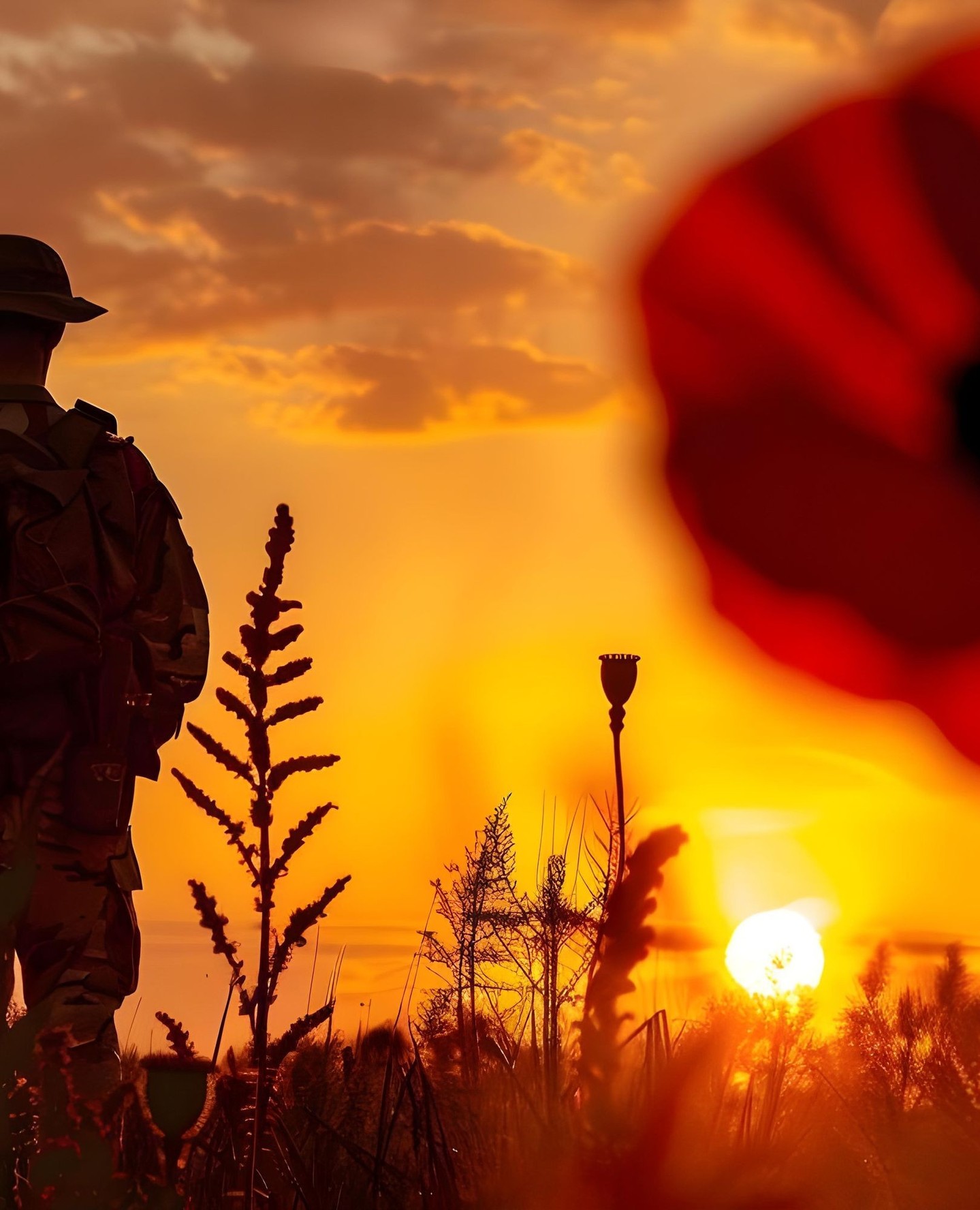 Today we pause to remember.
The courage, sacrifice and service of those who came before us — and those who continue to serve.
Lest we forget. ❤️