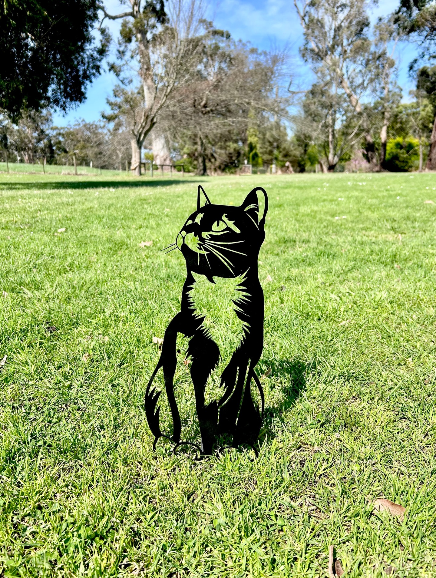 Tuxedo cats… or as we call them “Coopey Cats” 🖤
Every time we see one out in the wild (usually sitting in a window somewhere, judging us as we walk by 😅) it’s straight away - “hey, there’s a Coopey Cat.”
Not because Cooper was a cat... he wasn’t.
He was our Border Collie x Jack Russell boy (don’t ask), but he had that same black and white coat, the same white ‘socks’ … and for whatever reason, it just stuck.
Funny the things that end up reminding you of them.
Cooper, like his siblings, is in everything we do here - the name, the ideas, the little details behind different pieces.
This tuxedo cat memorial design is one of those little reminders 🫶🏻