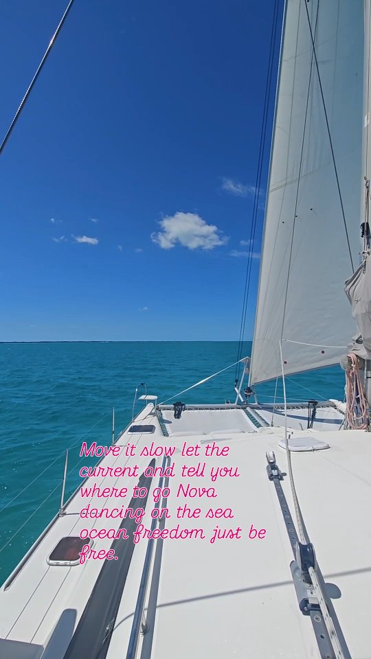 When the wind calls — we answer. ⛵️✨
Today we're sailing. No plan, just open water, warm wind, and the Exumas doing what they do best.
Sails
Sun on the water.
Freedom in every direction.
This is what it feels like to just go.
#ParadiseKiteCruise #SailLife #Exumas #Bahamas CatLife SailingLife WindCalling IslandFreedom BlueWaterSailing