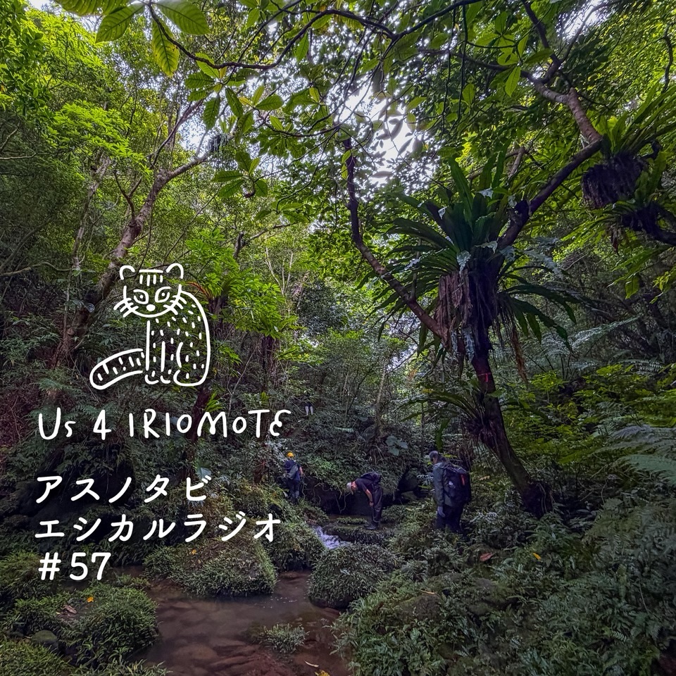 4月17日は、新月。
今月もエシカルラジオをお届けします。
今月は初心にかえって、
4月15日に7周年を迎えたUs 4IRIOMOTE プロジェクトのテーマである
「エシカルな旅」のコラムをお届けします。
旅をするとき、
その場所に「行ってもいいのかな?」と思ったことはありますか?
西表島で感じた、小さな問いからはじまる旅のあり方のお話です。
エシカルラジオはYouTubeやSpotifyなどで音声にてお楽しみいただけます。
______________
👉リンクはこちら https://www.us4iriomote.org/post/20260417
👉または@us4iriomote のプロフィールから
👉ストーリーにリンクをはってます。
______________
#Us4IRIOMOTE
#エシカルラジオ
#エシカルな旅
#西表島