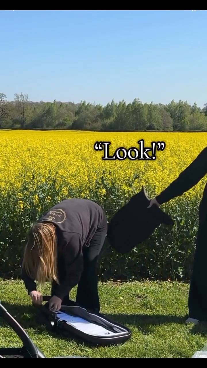 Ever catch us filming? Stay out the shot... or you might end up like this *blooper*🤣🫣
#blooper #funnny #babybarn #fail #prank