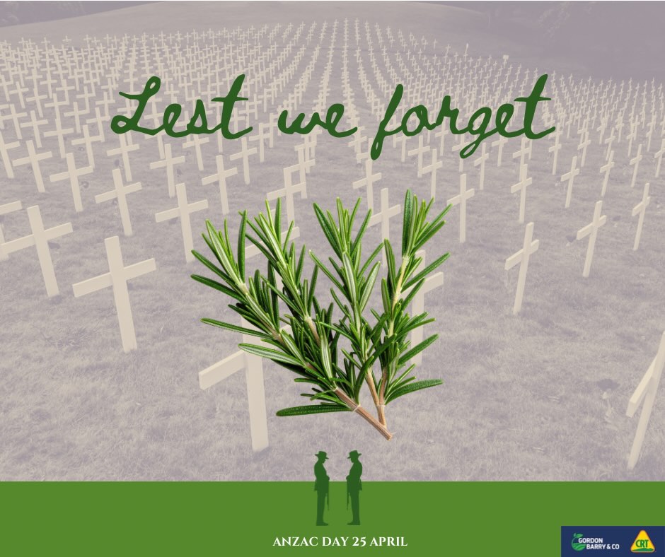 Today we pause to remember and honour those who served.
Gordon Barry & Co will be closed today in commemoration of Anzac Day.
We will reopen Tuesday at 8am.