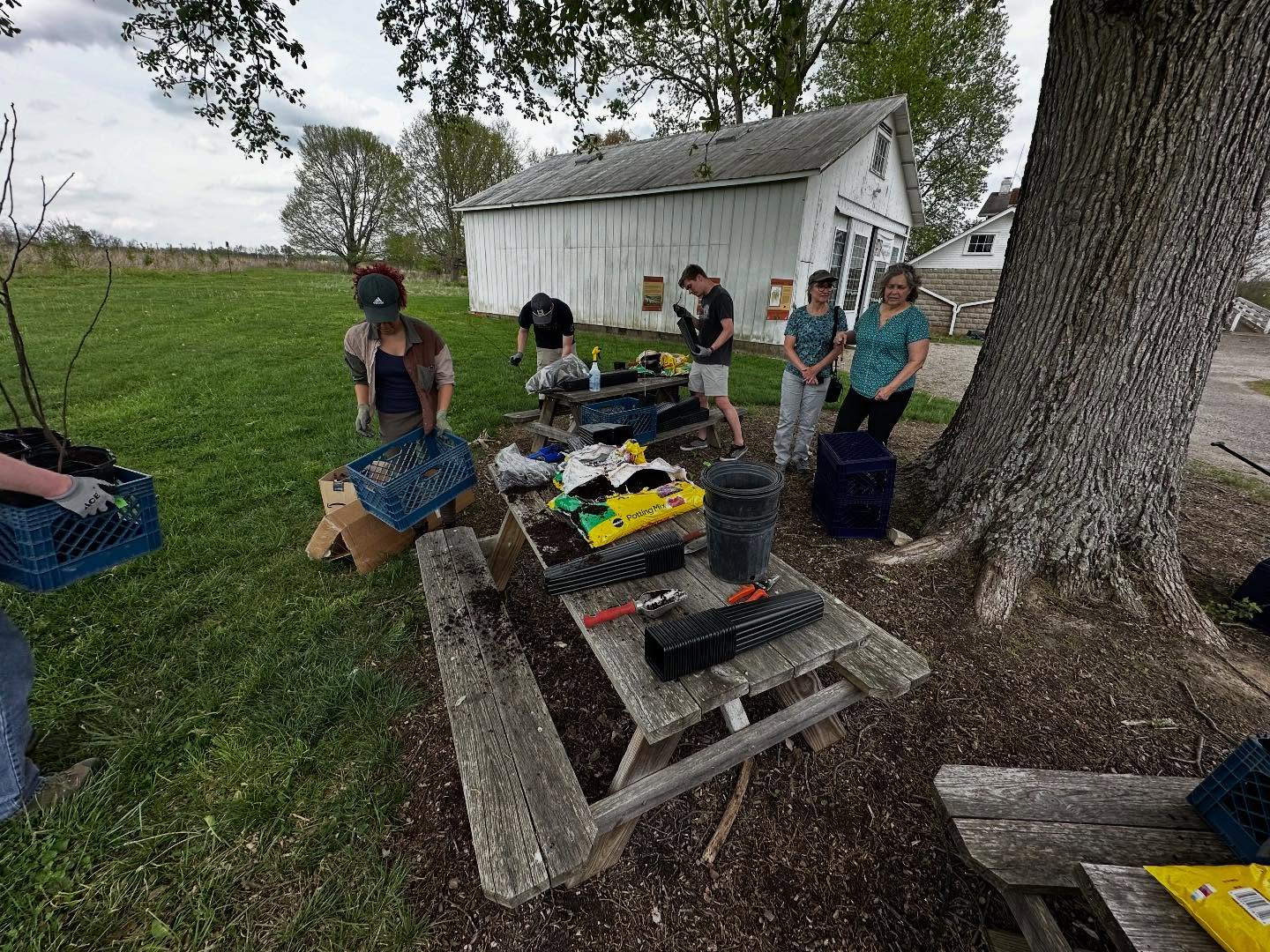 We are excited to help implement another Miyawaki Tiny Forest in Camp Washington this weekend. Partnering with Taking Root, the field center crew helped prepared over 500 trees! 🌳🪴