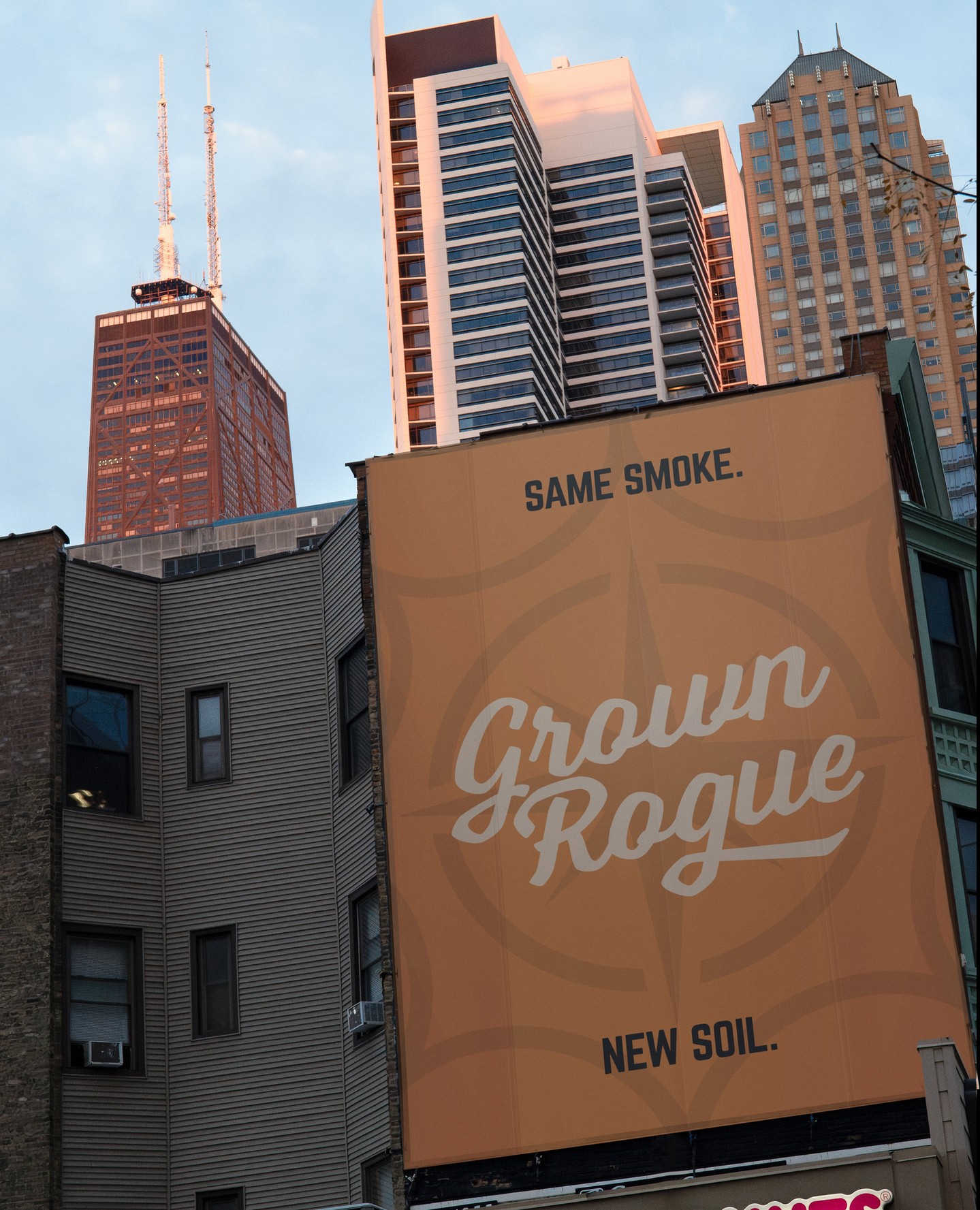 In case you haven’t heard… Chicago, we're bringing the smoke. Same Rogue flower with new roots in Illinois. 🌬️
Windy City, it’s time.
#RogueNation