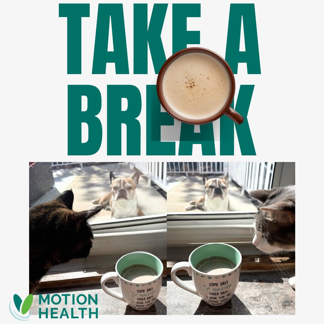 TAKE A BREAK ☕️
Coffee breaks look a little different when you work remotely… from a home office, from your vehicle, in between sales calls on the road….
My coworkers are quiet, but nosy. (They are rather gossipy too 🫣)
#homeoffice #whenyouworkalone #coffeebreak #motionhealth
