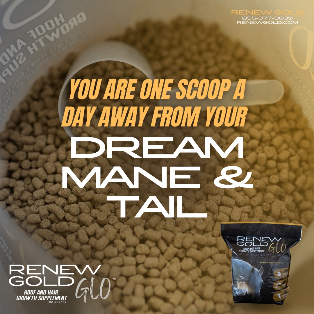 🌟 One scoop. Endless shine. 🌟
From coat to hooves, Renew Gold Glo fuels beauty from the inside out. ✨ Packed with stabilized rice bran, flax, coconut, biotin, and essential minerals — all in a grain-free formula your horse will love. 🐴💛
📸 Show off your #RenewGoldGlo— tag us so we can feature your glow!
#RenewGoldGlo #FeedTheGlow #HorseGlowUp #EquestrianLife