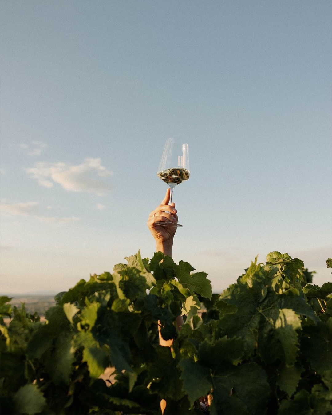 In Valle de Uco, wine is only part of the story. What defines this region is how landscape, architecture, and legacy converge—creating vineyards that feel as considered as the wines they produce. Here, design is not an afterthought, but a language through which each estate expresses its identity.
Bodega Alfa Crux (@alfacruxwines): A striking architectural presence set against the Andes, where geometry and materiality mirror the precision of its winemaking. Known for its bold reds, Alfa Crux balances innovation with a deep respect for terroir.
Zuccardi Valle de Uco (@zuccardivalledeuco): Consistently ranked among the World’s Best Vineyards, Zuccardi is a benchmark of modern Argentine wine. Its winery, built with stone and raw textures, reflects a philosophy centered on altitude, soil, and minimal intervention.
Clos de los Siete - Bodega DiamAndes (@bodegadiamandes): Part of the Clos de los Siete project, DiamAndes brings a European sensibility to the Andes. Its design is clean and understated, allowing the surrounding landscape—and its refined blends—to take center stage.
Because in Valle de Uco, the journey is not just about tasting, but about understanding the place behind every glass.
#LeBoulevardier
#ValleDeUco
#WineTravel
#Mendoza
#Argentina
