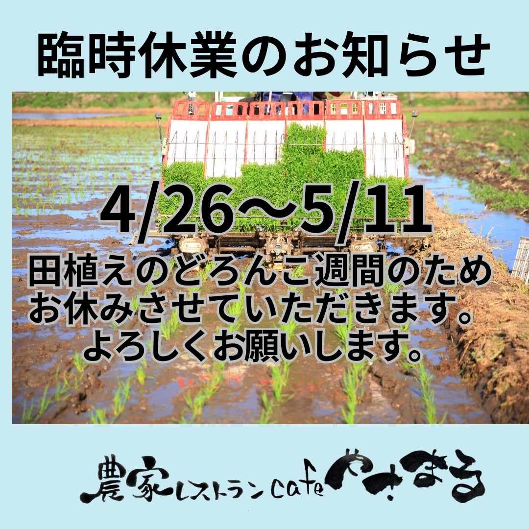 26~5/11までは、田植え休暇をいただきます。
5/12から平常通り営業します。
5/15から