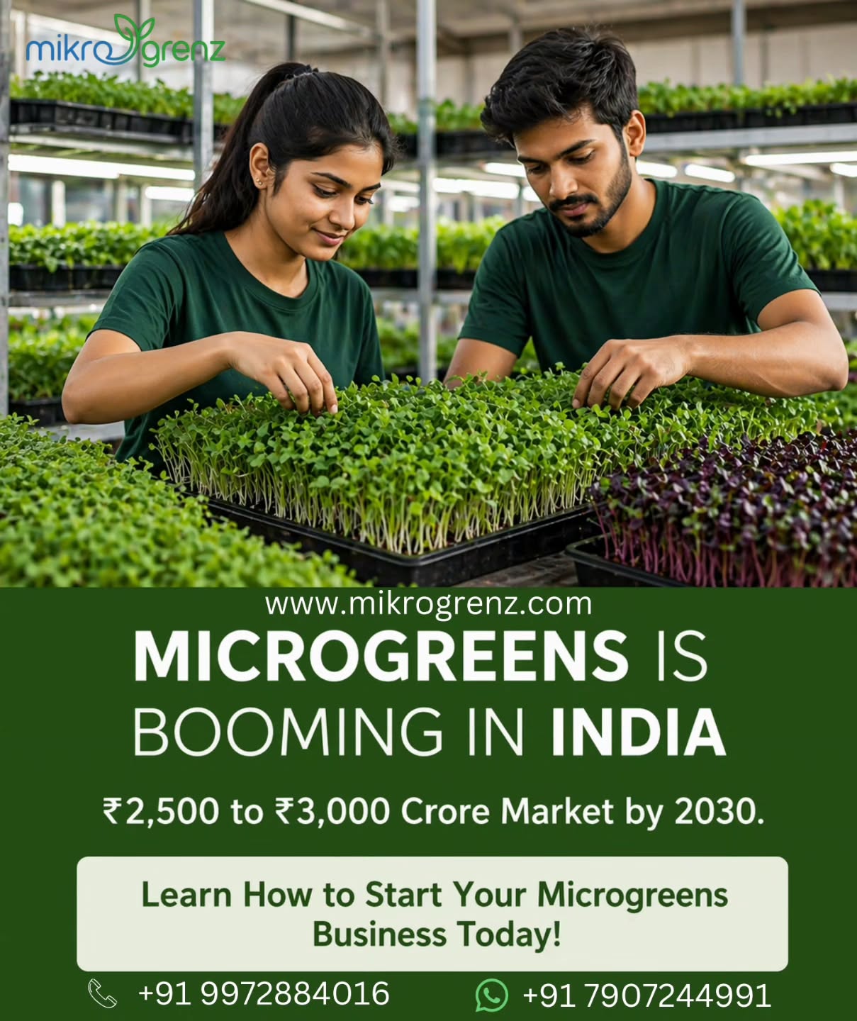 Start your business today. Healthy future healthy business.
www.mikrogrenz.com
Enquiry call - 9972884016
Whatsapp - 7907244991